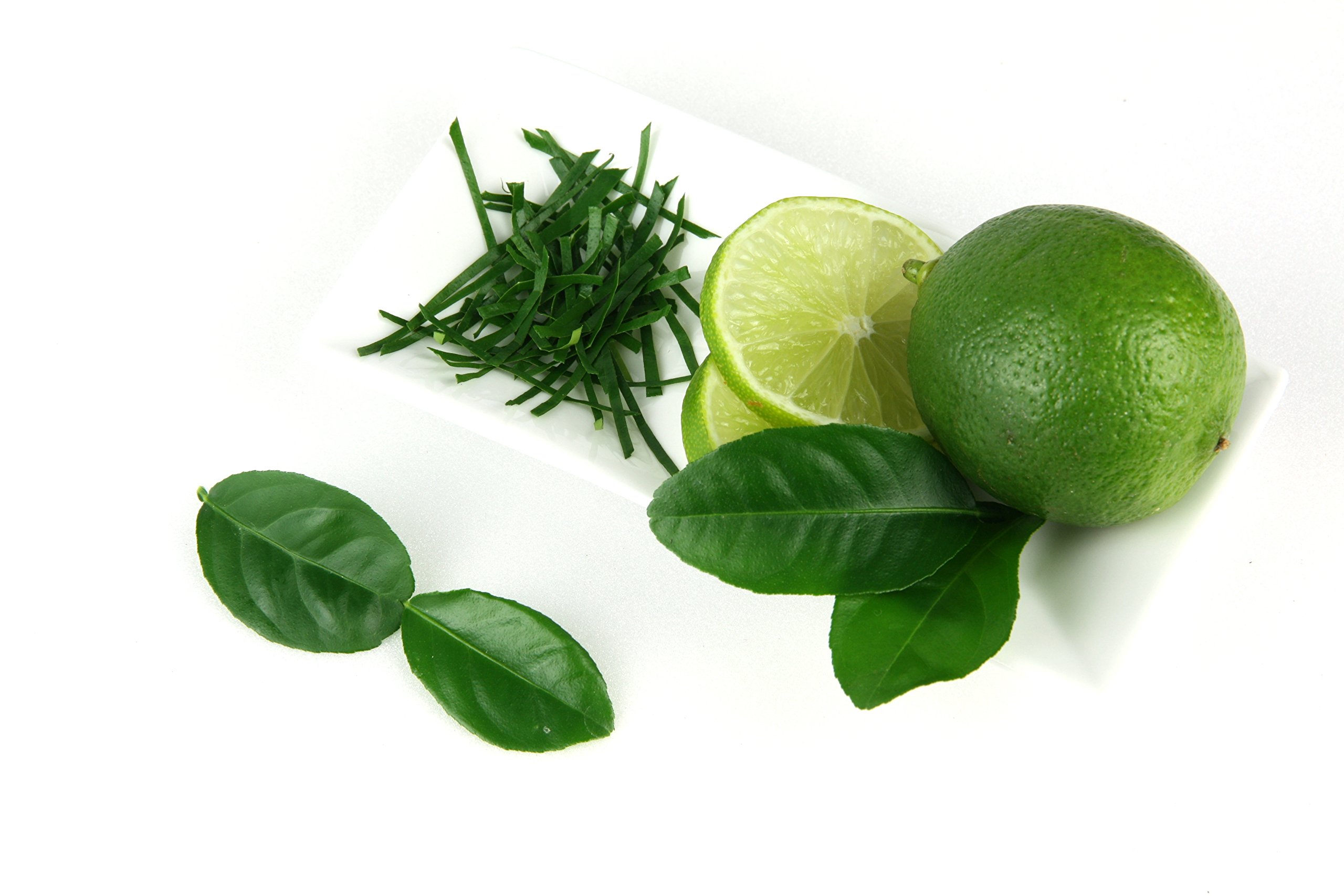 Dominik Blumen und Pflanzen, Erbe biologiche, Kaffir Limette, Citrus hystrix, 2 piante, vaso da 12 cm