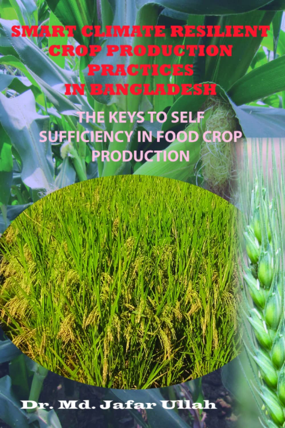 SMART CLIMATE RESILIENT CROP PRODUCTION PRACTICES IN BANGLADESH: THE KEYS TO SELF-SUFFICIENCY IN FOOD CROP PRODUCTION