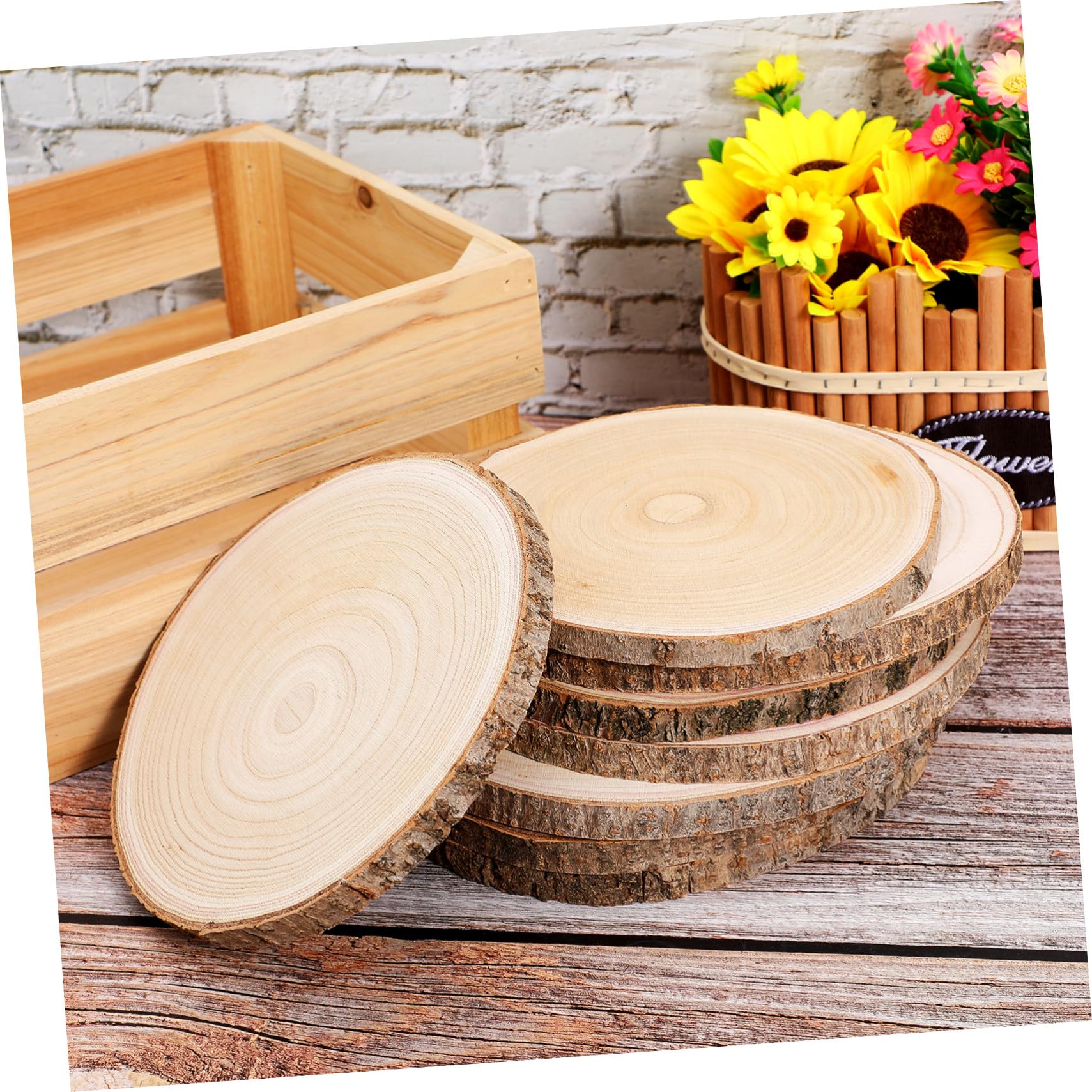 8 Stück Teiliges Holzscheiben mit Rinde Dicke Paulownia Holzstücke Naturbelassen zum Basteln Bemalen Gravieren und Dekorieren für Rustikale DIY Projekte und Hochzeitsdeko