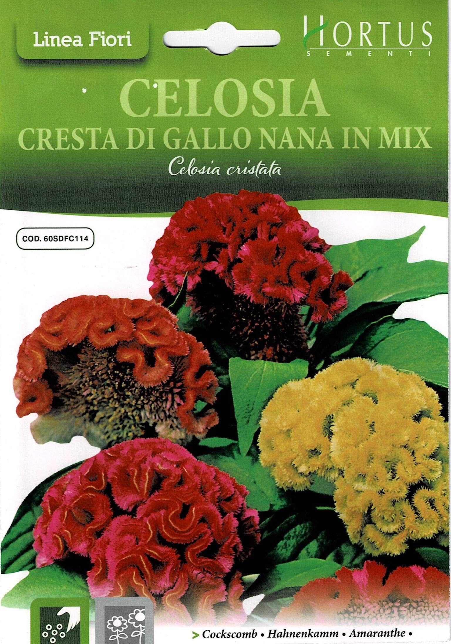 Hortus Sementi Cockscomb in Mix Seeds