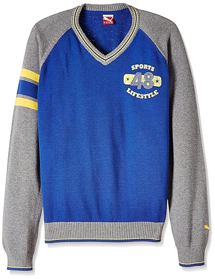Puma Kid Sweat
