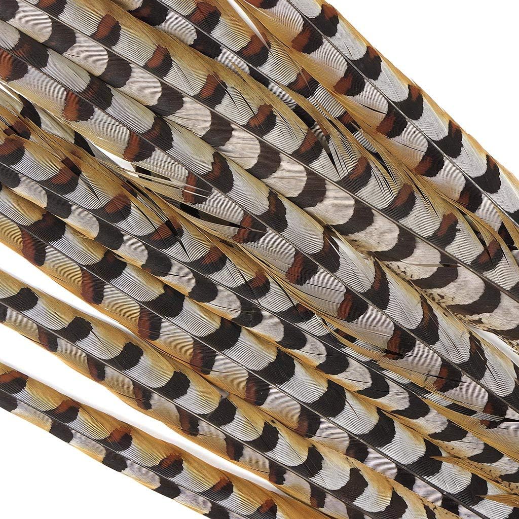ZUCKER Pheasant Tail Feather Craft Supplies - 30-40" Natural Golden Brown Home Decor 12pcs