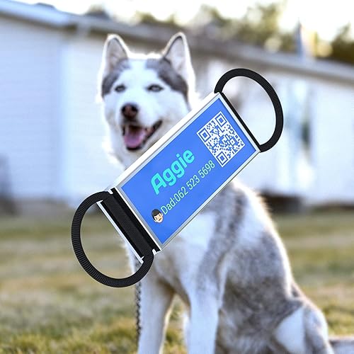 Miniatura 2 de Placa de identificación con código QR, etiquetas de nombre de perro personalizadas, silenciosas y silenciosas, escanea y en línea gratis QR Reciba