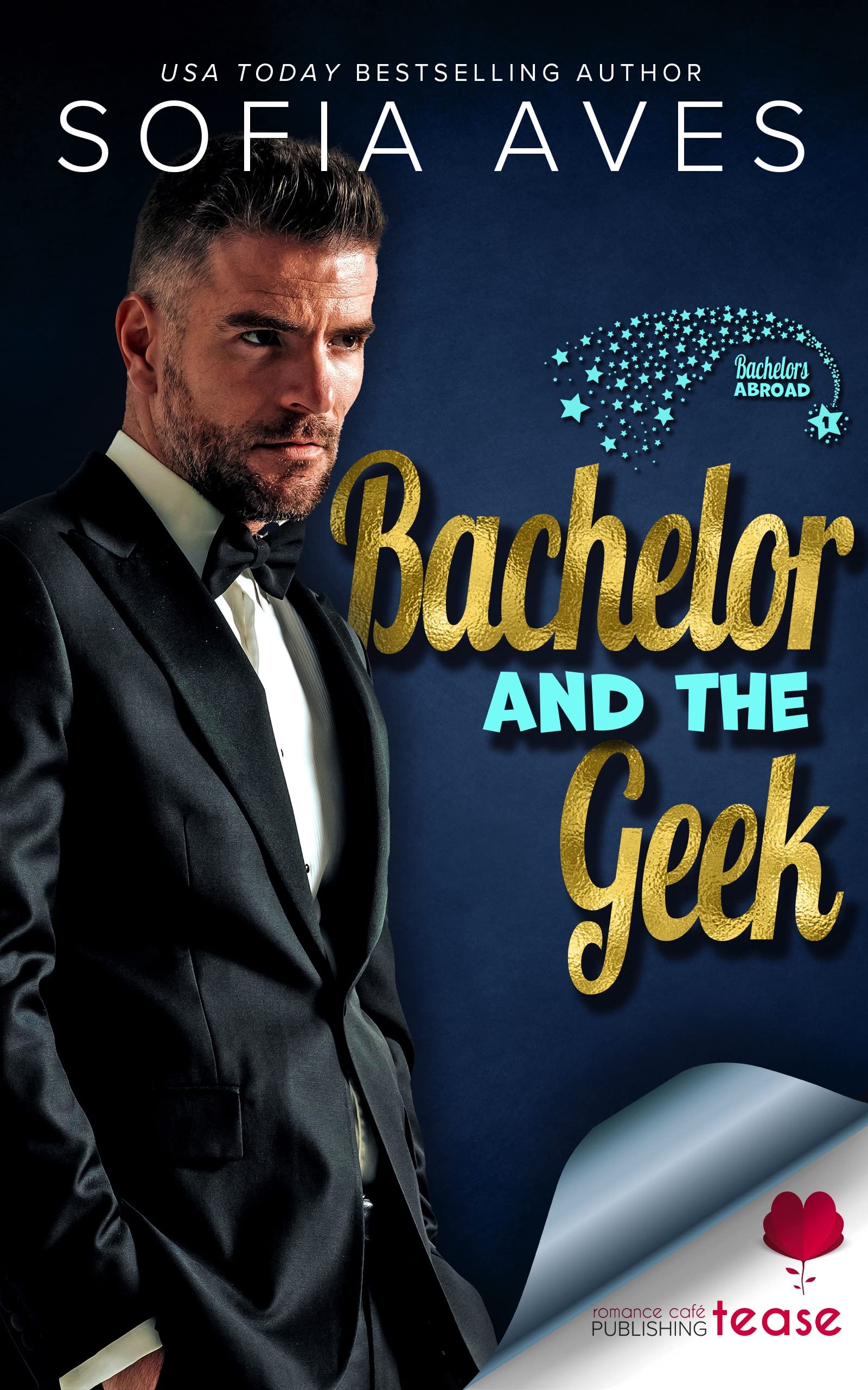 Bachelor and the Geek: A Bodyguard Protector Romance (Bachelors Abroad Book 1)