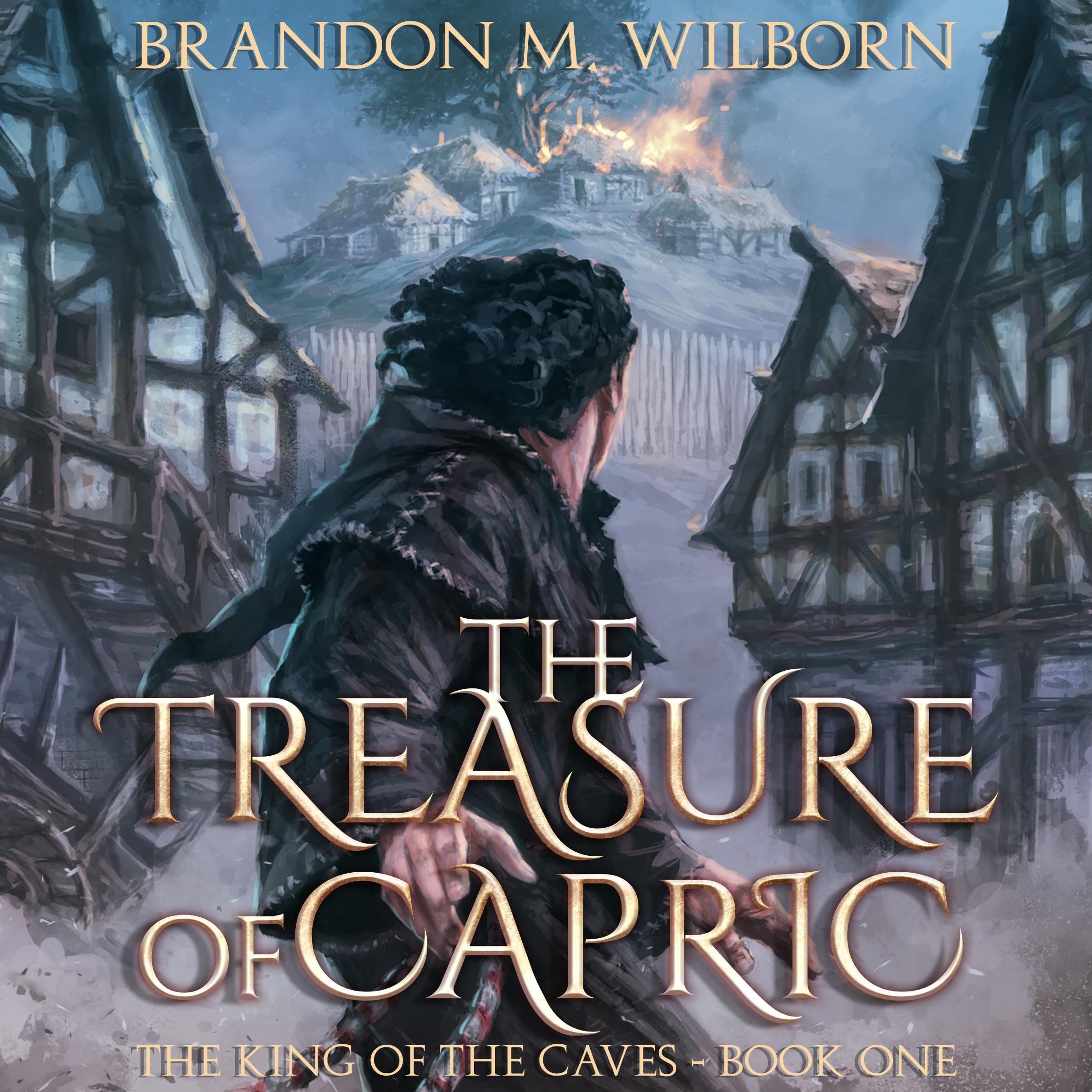 Cover art for The Treasure of Capric