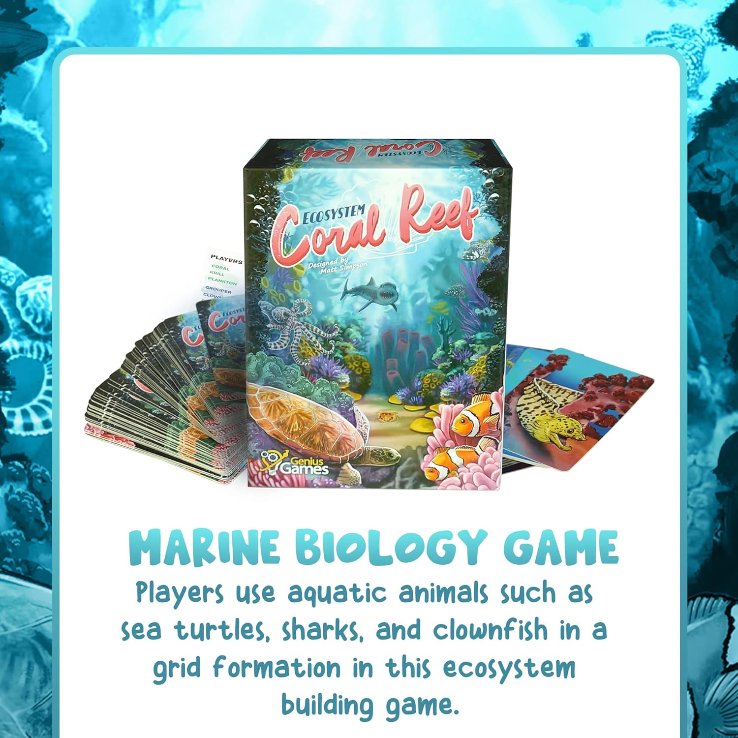 Ecosystem Bundles