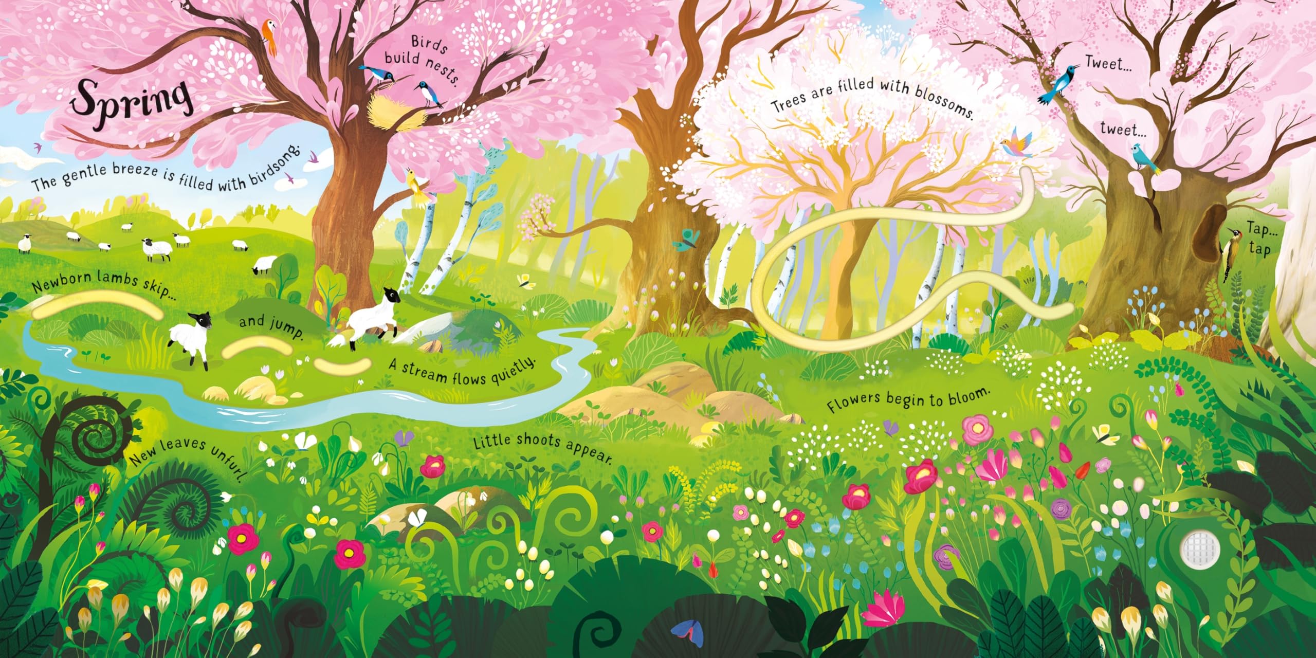 Amazon.com: Usborne Books: Sound Books