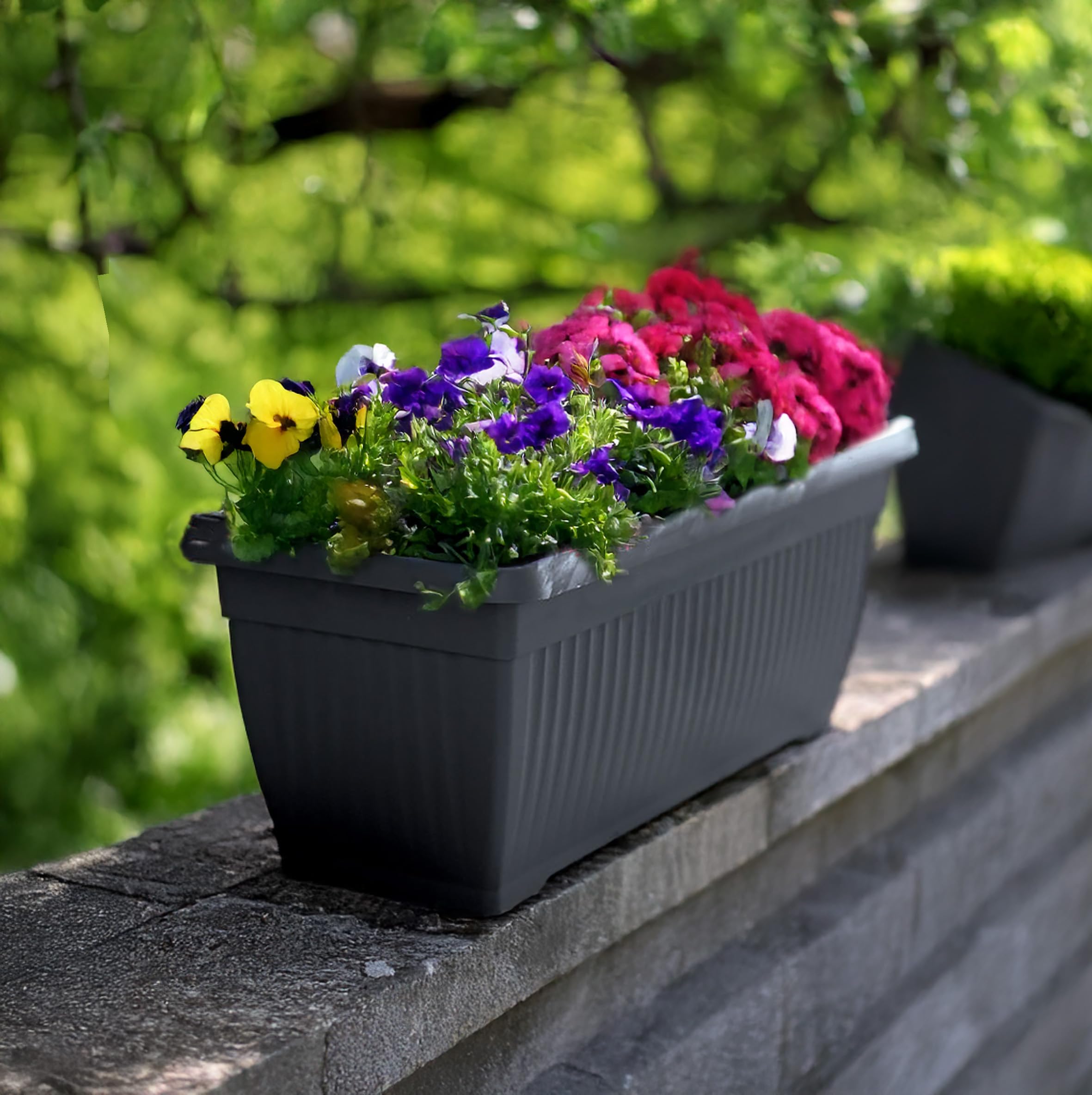 Kunststoff Pflanzkasten rechteckig anthrazit - 60 x 25 cm - Blumenkasten im  Romantic Design - Pflanzkbel Blumenkbel Landhaus Garten Deko: Amazon.de:  Garten