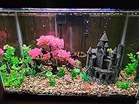 Review Image by Connor Hanlin Connor Hanlin