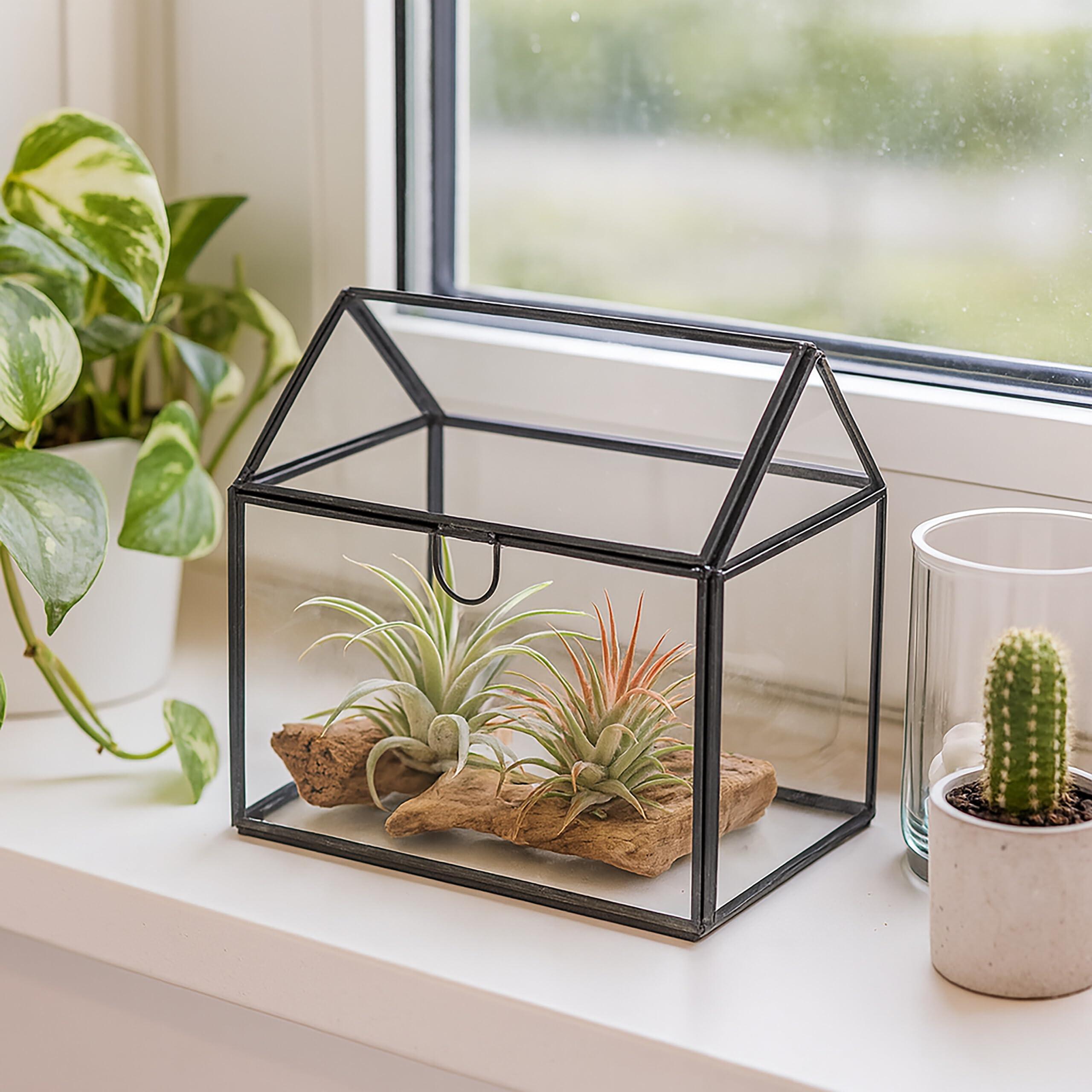 Relaxdays Pflanzenterrarium, Glas & Zinn, Deko Glashaus für Kakteen & Moos, Glaskasten für Fensterbank, schwarz