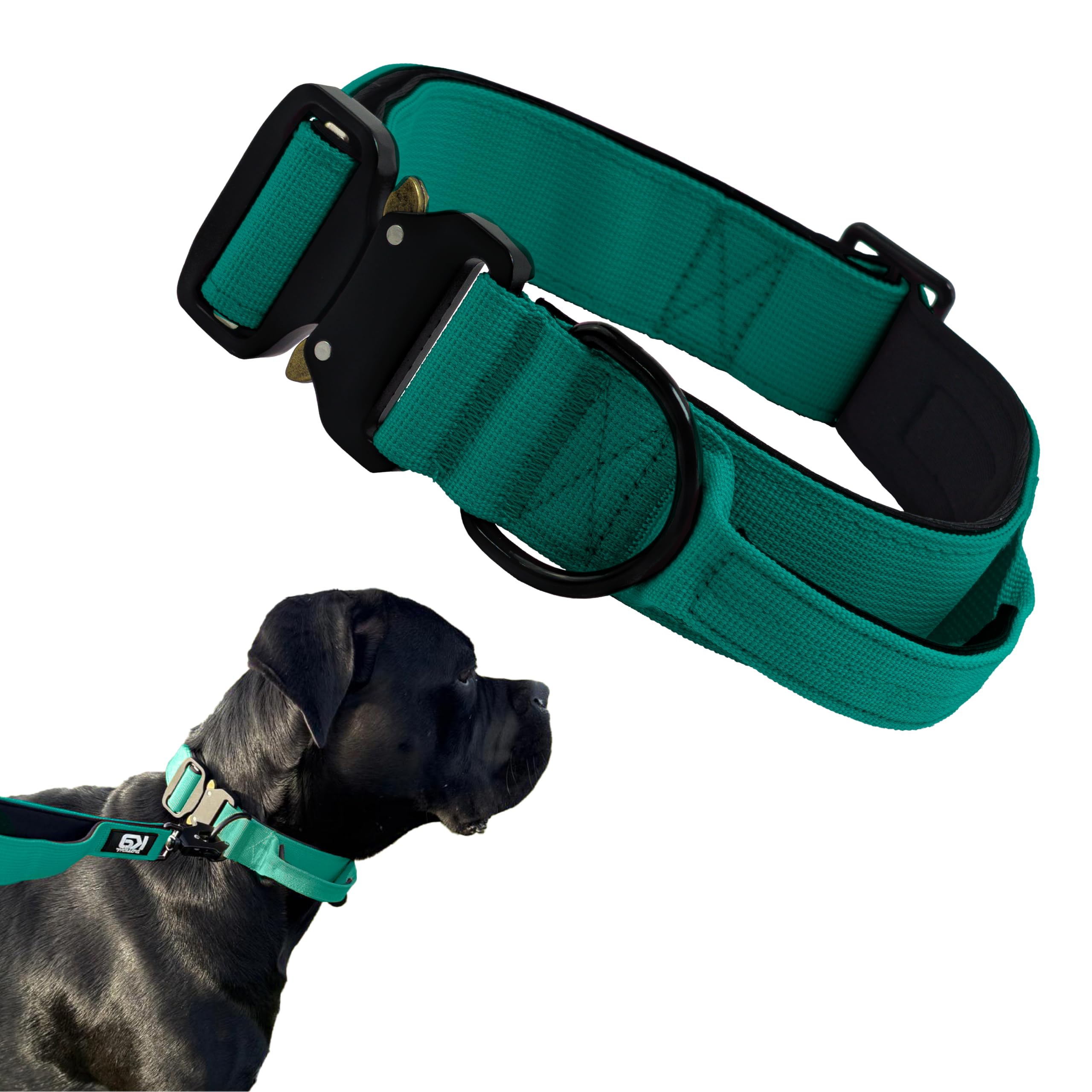 HugglePets Tactical K9 Endurance Adjustable Dog Collar, Teal, Large 56-73cm