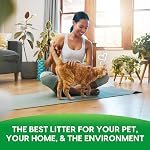 Fresh News Cat Litter, 25 Pounds, Beige