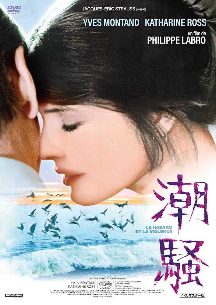 洋画映画DVDまとめて 91VWA7te7sL.jpg