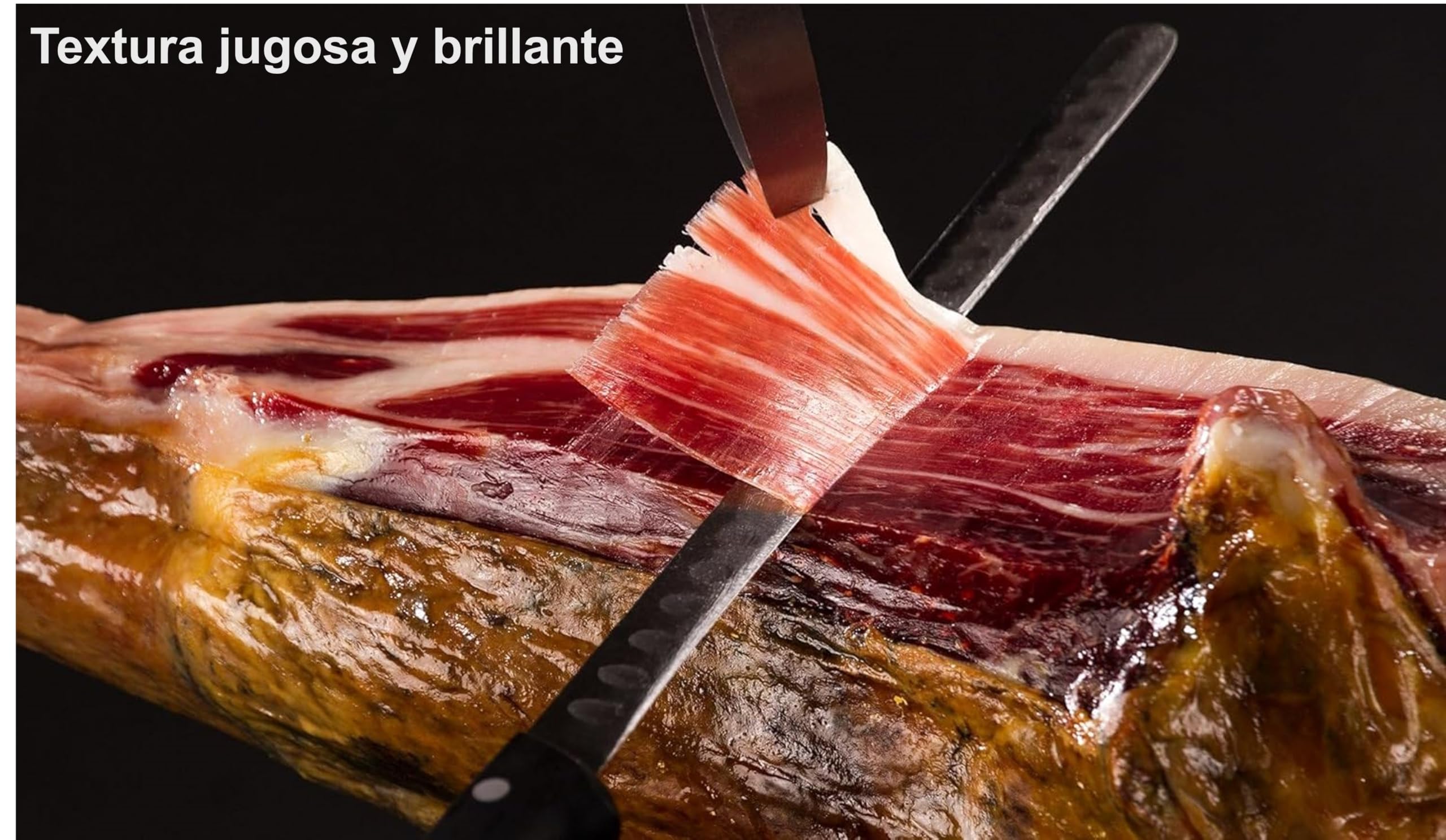 Paleta de Jamón de Bellota 100% Ibérica D.O.P Jabugo Tartessos I Pieza Entera I Curación Natural I 5–5,5 kg