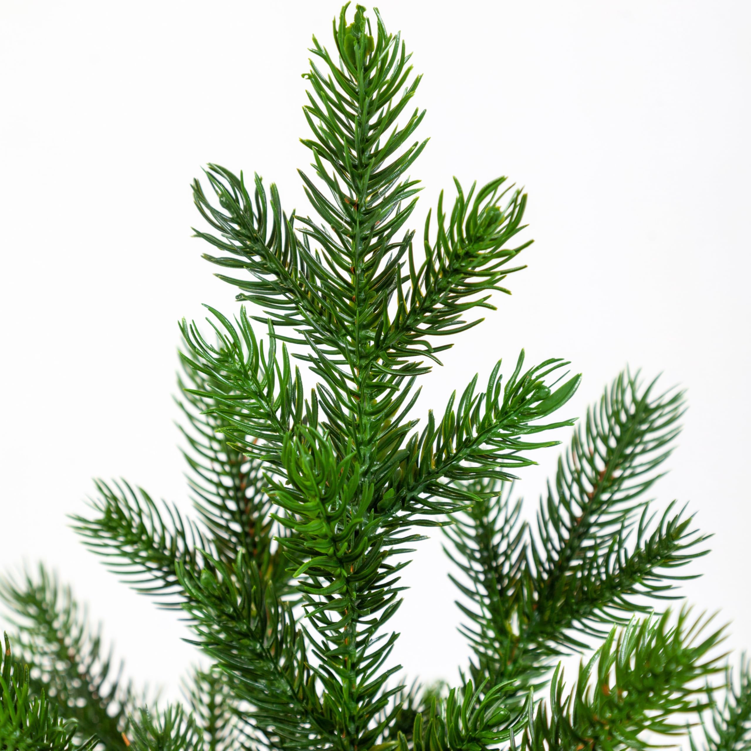 EveXmas – Altair 65cm – Künstlicher Weihnachtsbaum Realistischer Mini Tannenbaum aus 100% PE Spritzguss Nadeln, Premium Tisch Weihnachtsbaum für Weihnachtsdeko Zuhause