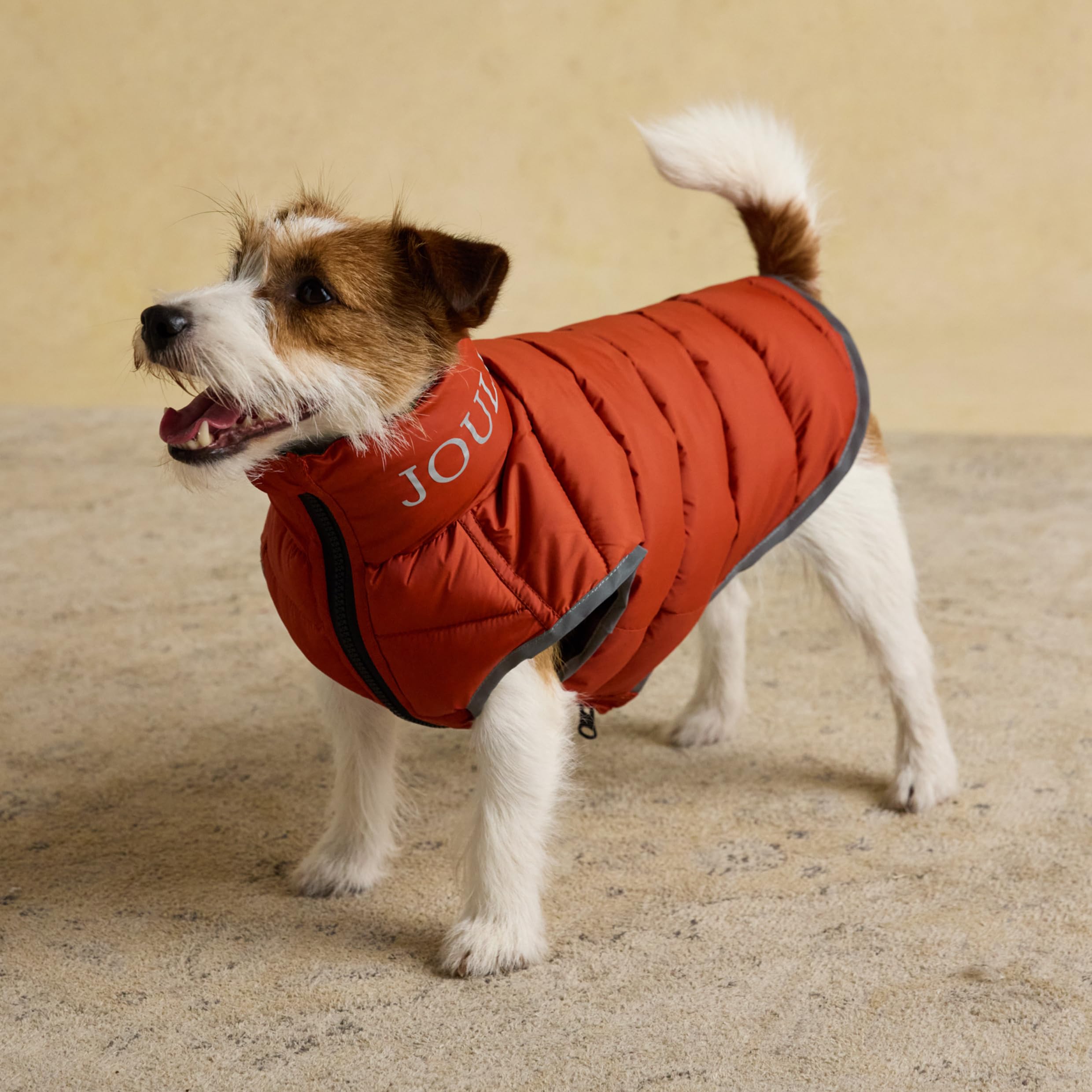 Rosewood x Joules Ketchup Moorsdale Puffer Dog Coat, Medium โ Reversible Winter Jacket with Zip Closure, Warm, Lightweight, Water-Resistant Pet Coat for Medium Dogs