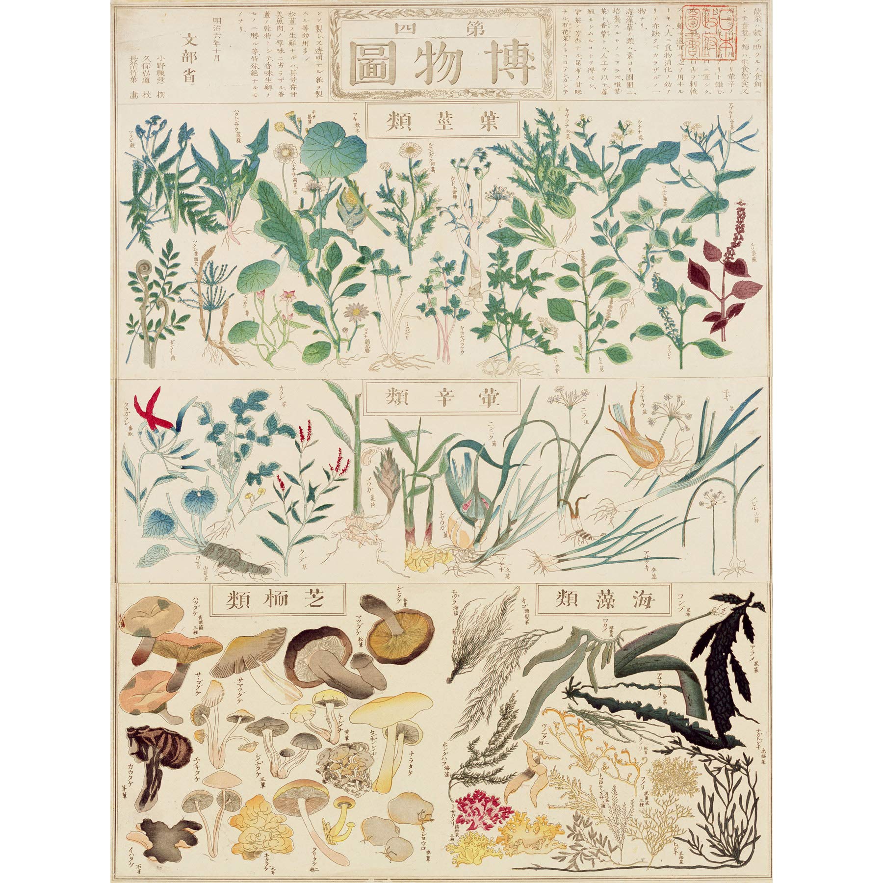 Artery8 Kato Chikusai Species of Flora Fauna Mushrooms Japanese Premium Wall Art Canvas Print 18X24 Inch