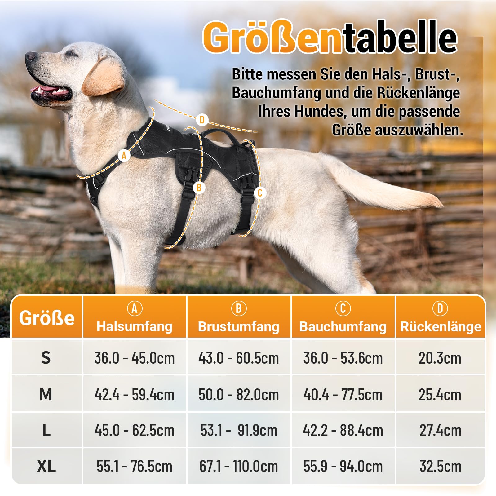 rabbitgoo Ausbruchsicheres Hundegeschirr Mittelgroße Hunde mit Griff, Anti Zug Sicherheitsgeschirr Hund Atmungsaktiv, Verstellbare Brustgeschirr, Gepolstertem Hundeweste, Panikgeschirr, Schwarz M