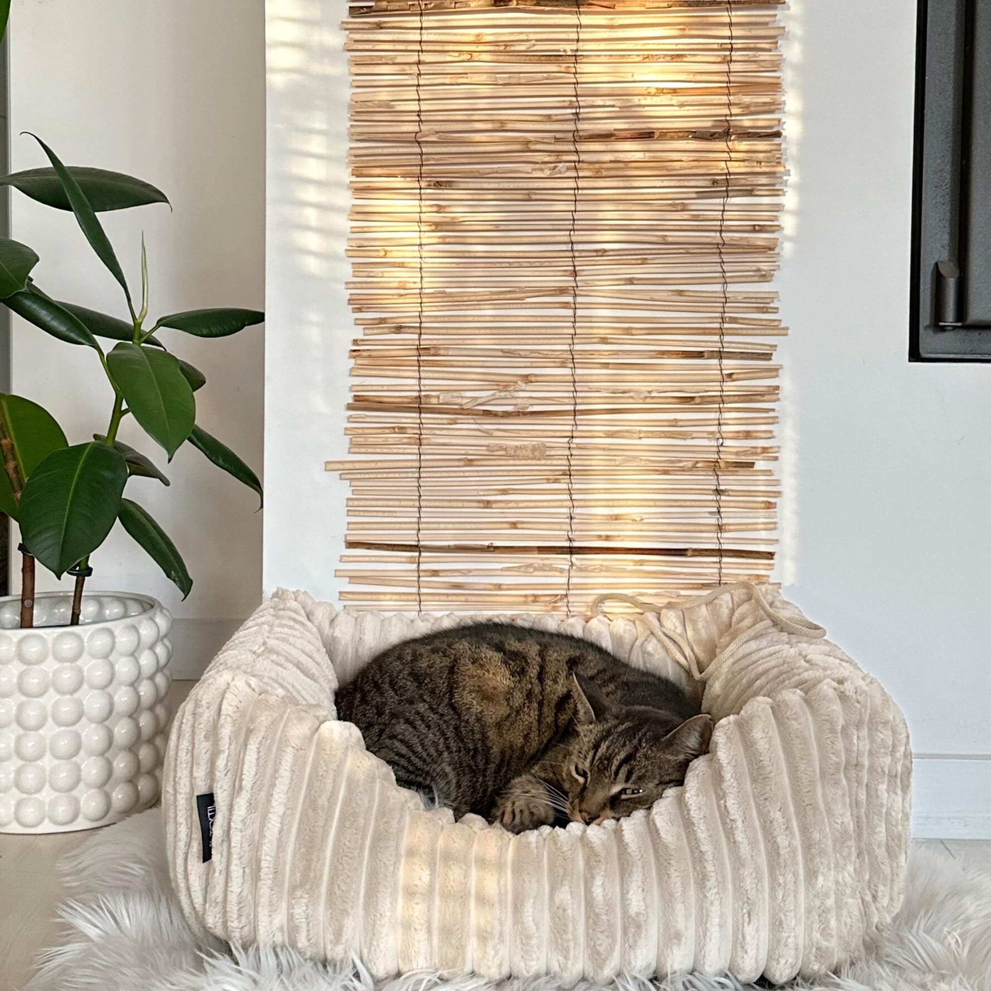 4L Textil Bella Plüsch-Hundebett Premium-LINE Kuscheliges Hundekörbchen aus Cord Katzenkorb Hundekorb für Welpen Hundebett flauschig Hundesofa kleine Hunde (Dunkelgrau, 90x70 cm)