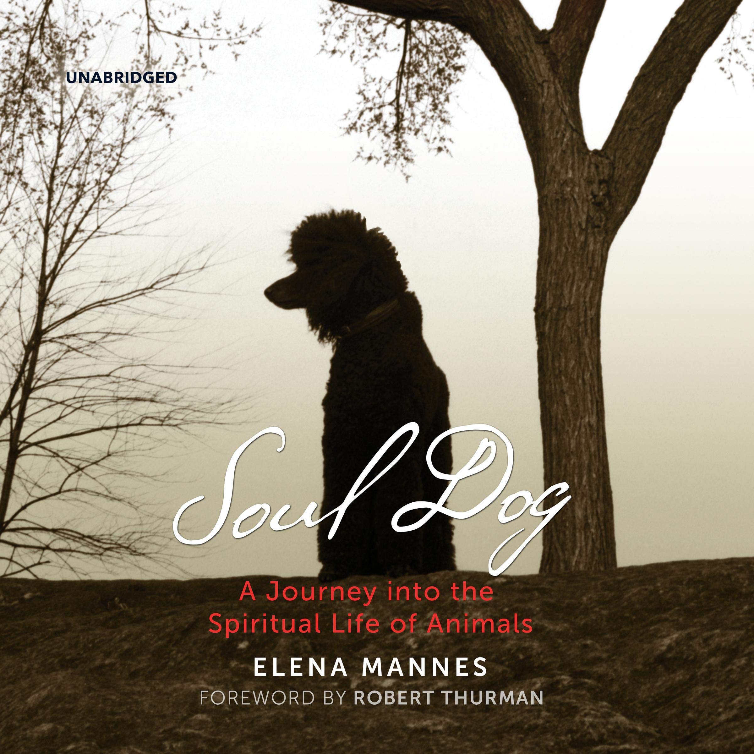Cover art for Soul Dog