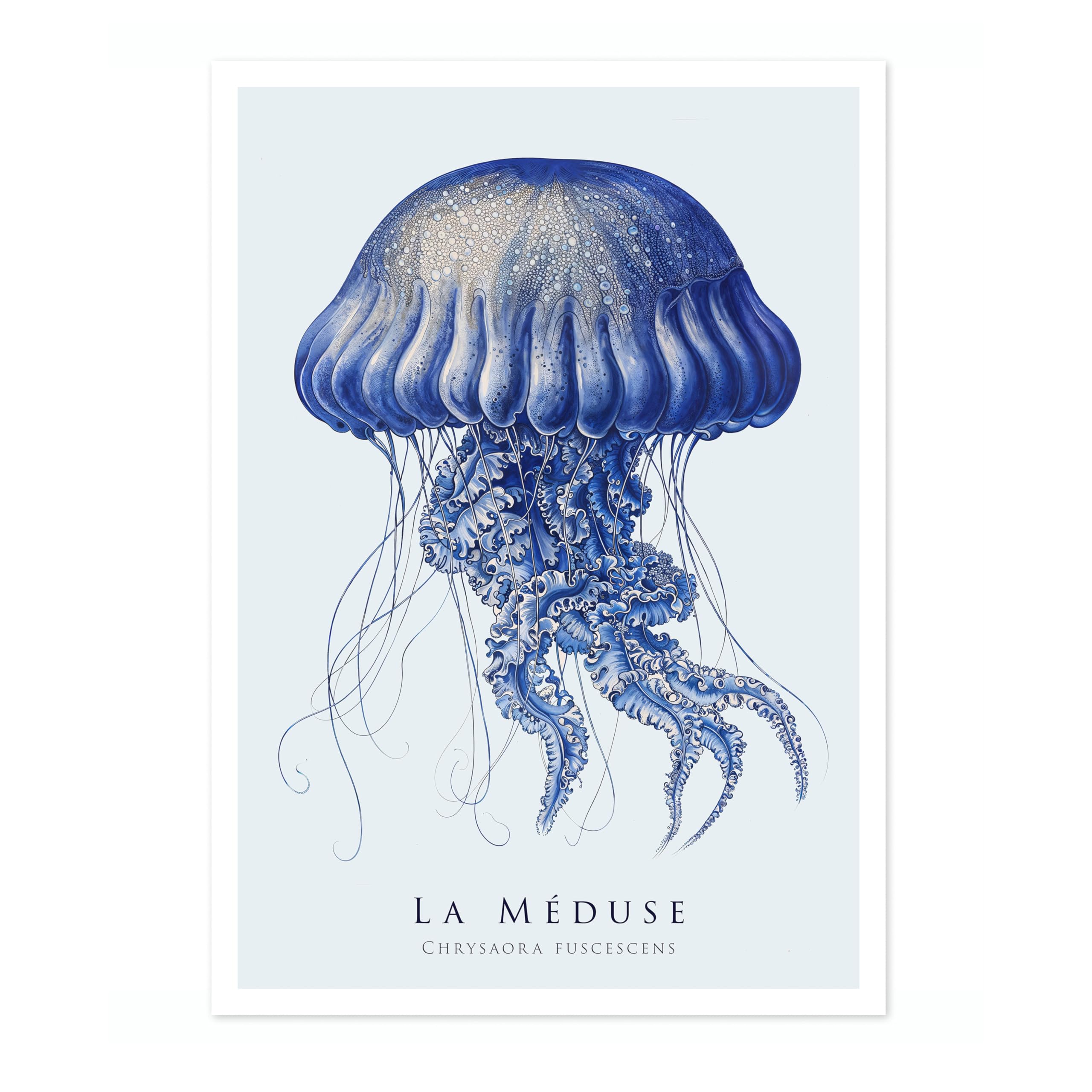 Animato Jellyfish Nautical Exhibition Art Print, Vintage Botanical Prints, Retro Sealife Oceanography Illustration Wall Art Pictures, Nature Bathroom Home Decor, A3 (Print Only) - 42x29.7cm โ image 1
