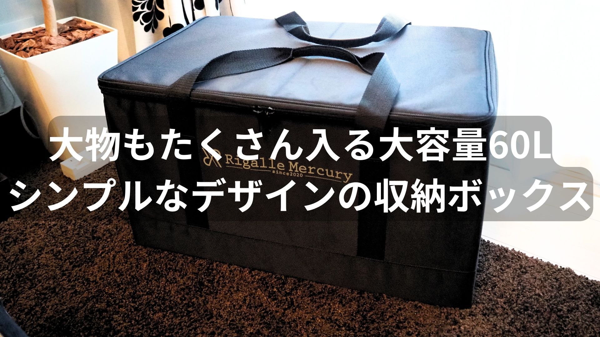 Amazon.co.jp: Rigalle Mercury たくさん入る60Lの大容量 コンテナ