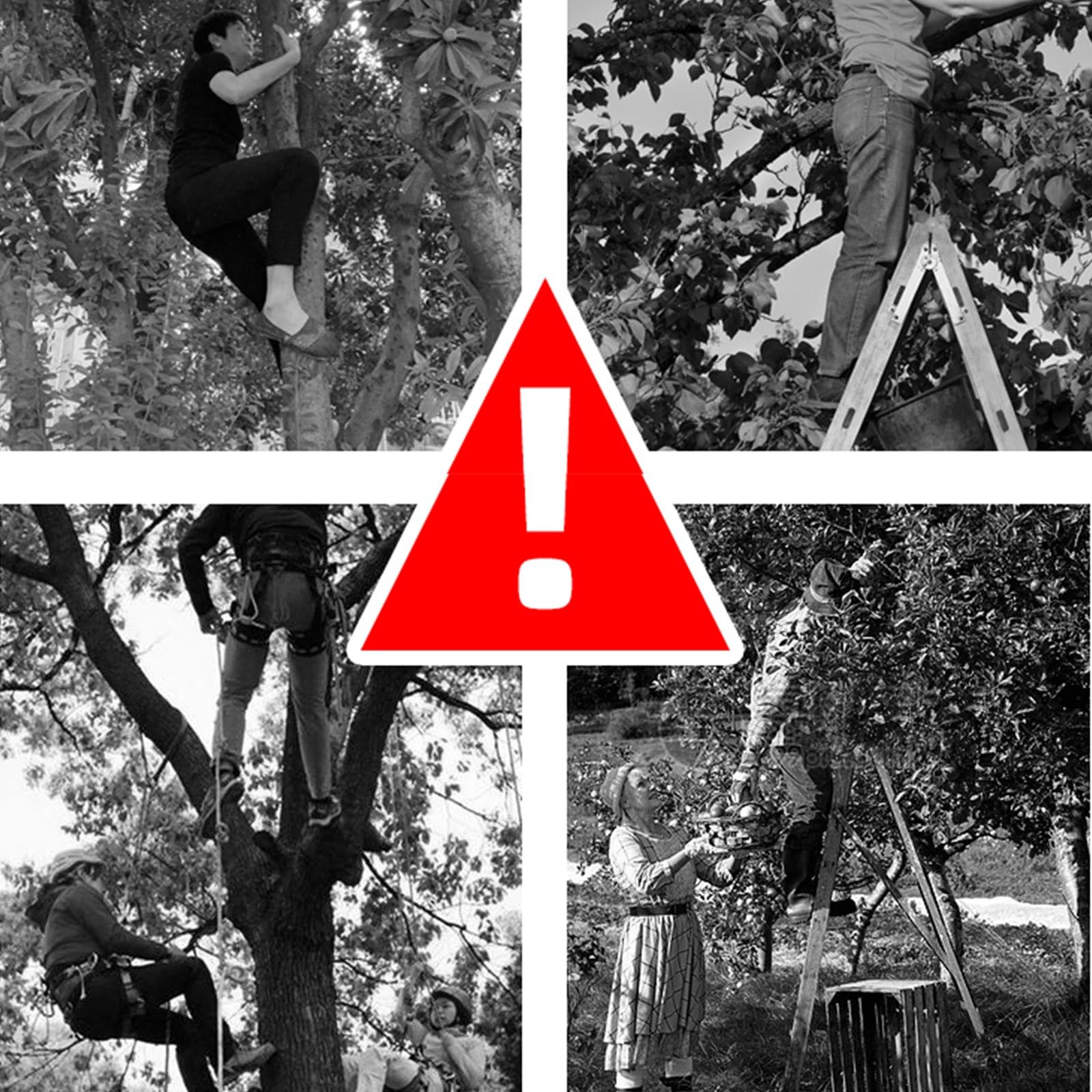 Obstpflücker Mit Teleskopstange Und Tasche, Apfelpflücker Aus Edelstahl, Obstfänger, Pflücker, Um Unzugängliche Stellen In Obstbäumen Zu Erreichen, Birnenpflücker, Pflaumenpflücker(A,19.7ft)