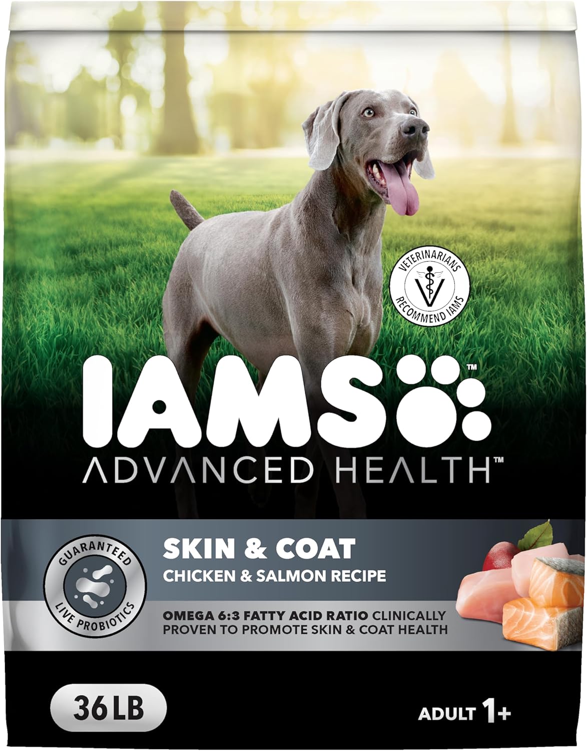 Iams dogmfood 36lbs bag