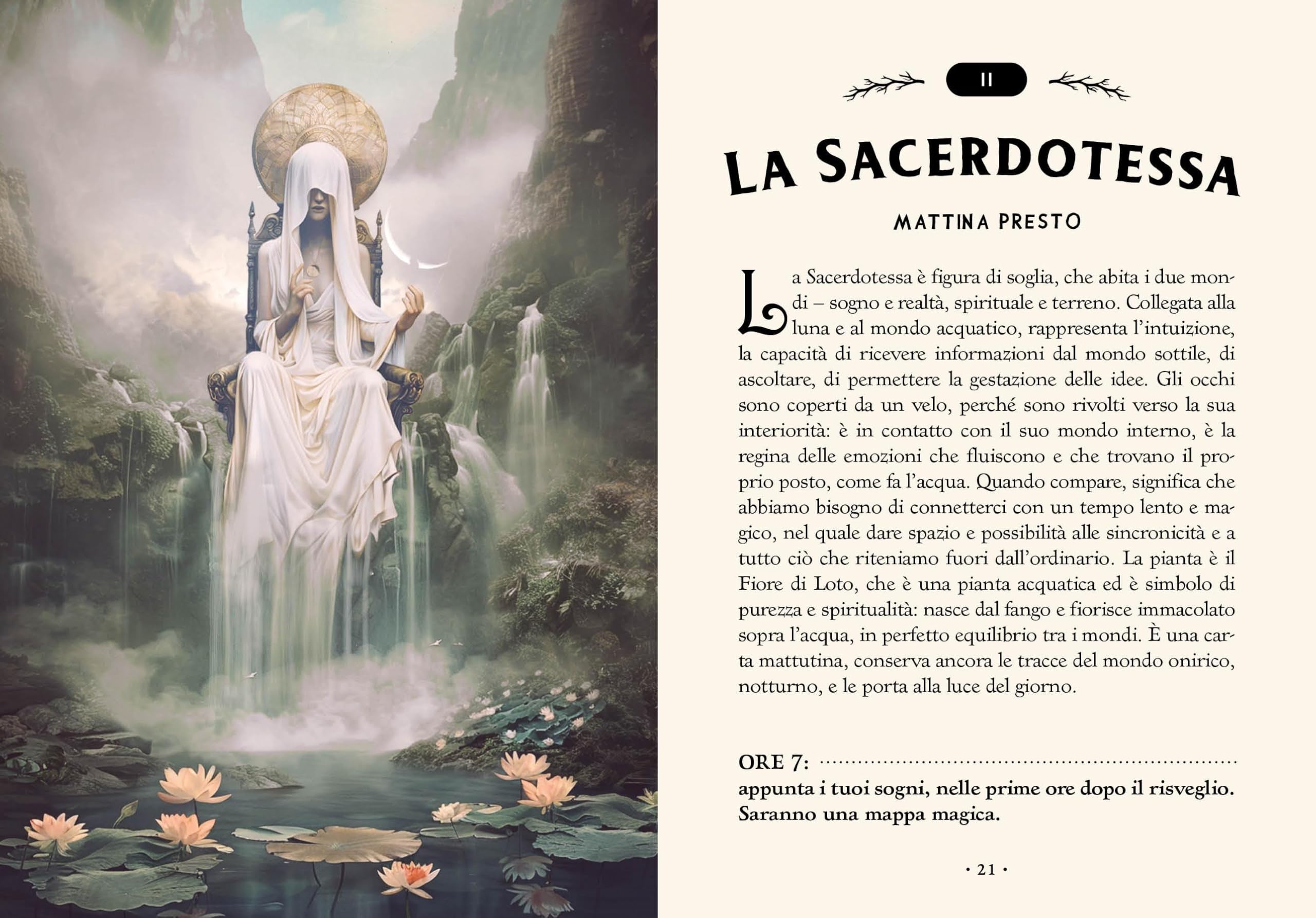 I tarocchi della foresta. Ediz. a colori. Con 78 Carte