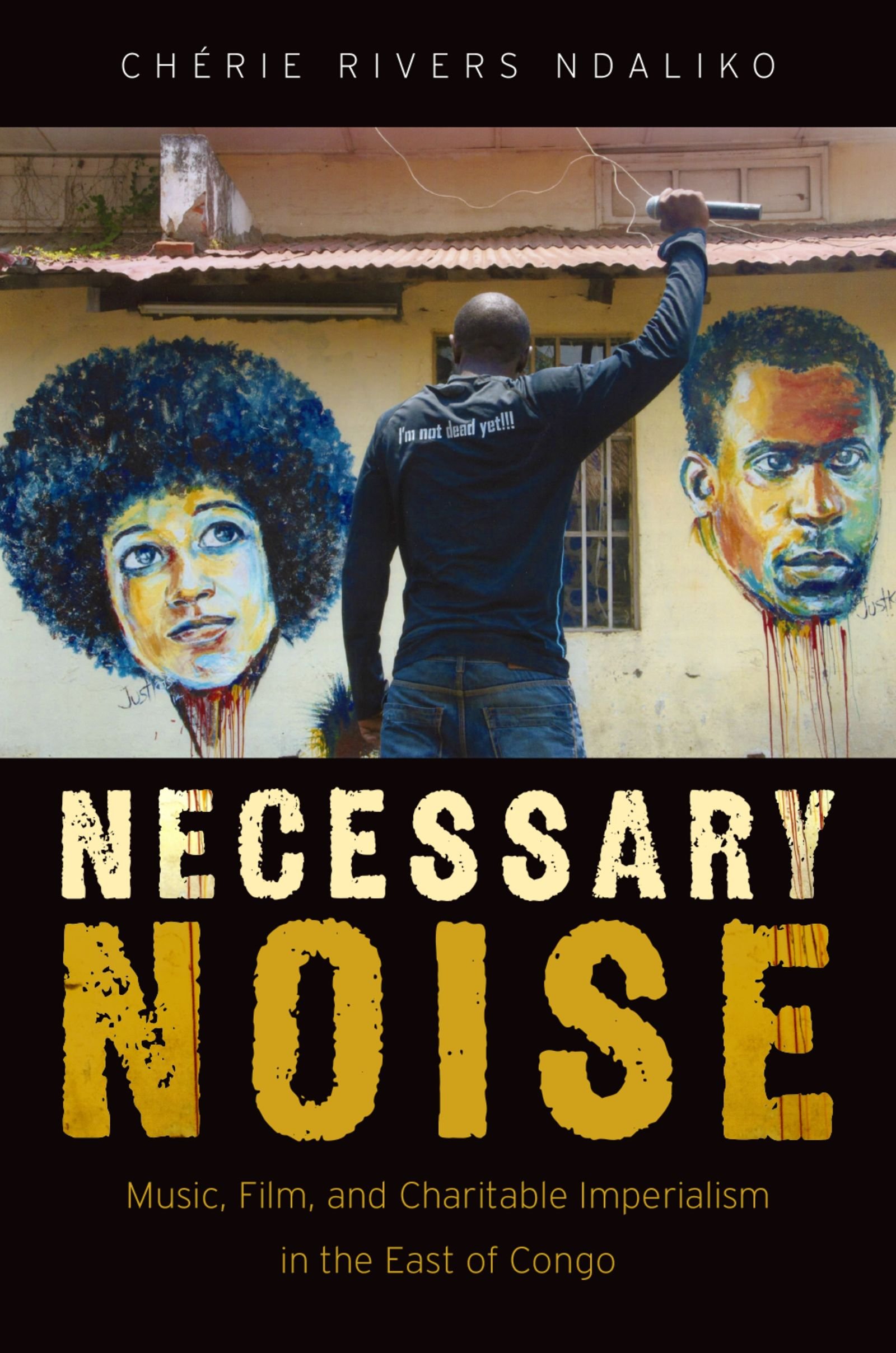 Necessary Noise Congo livre sur la musique et l'impérialisme charitable