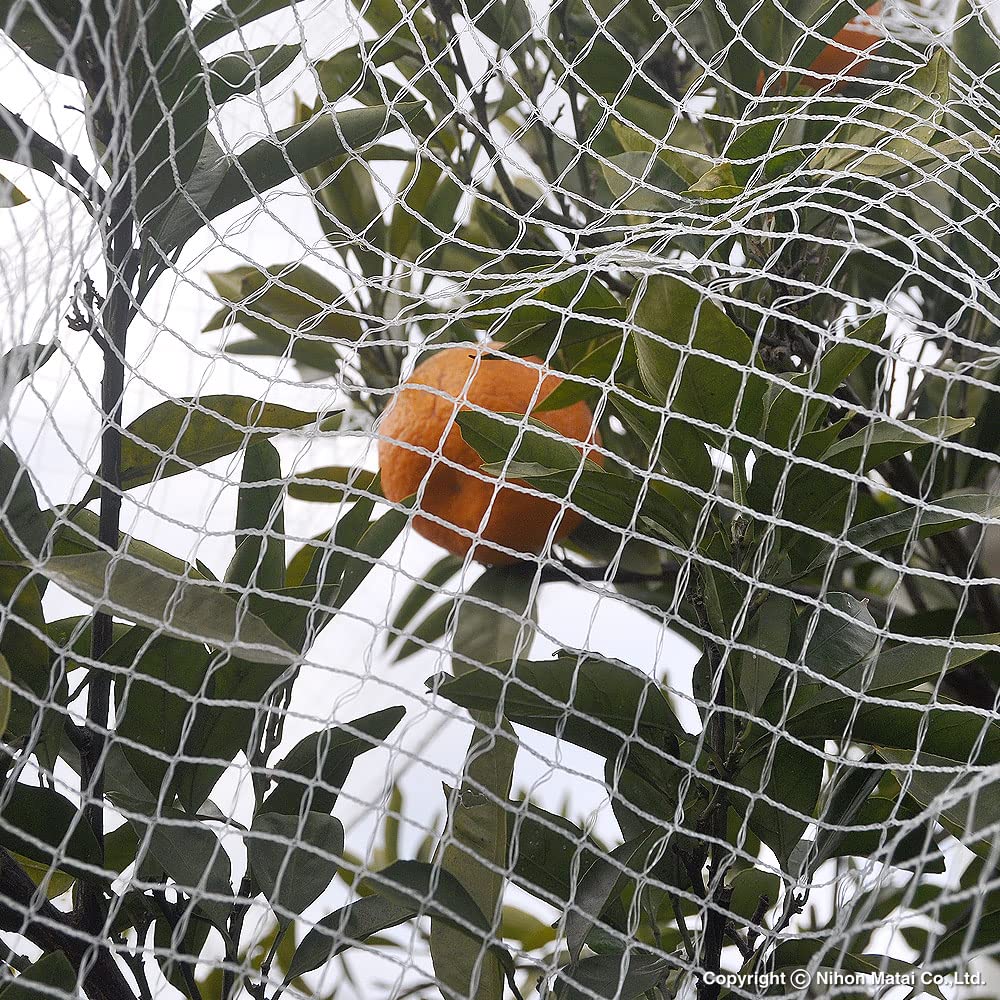 Amazon | MARSOL かんたんネット 2MX6M 17mm角目 | 防鳥・防獣ネット