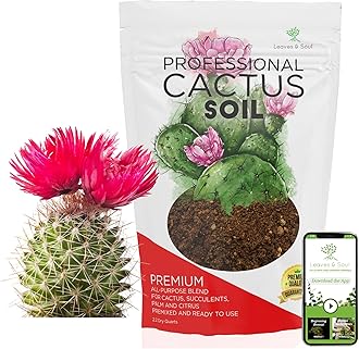 Professional Cactus Soil | Large 2.2 Quarts Ready to Use for Cactus Plants | Peat Moss, Coco Coir, Perlite, Dolomite | Made in USA
