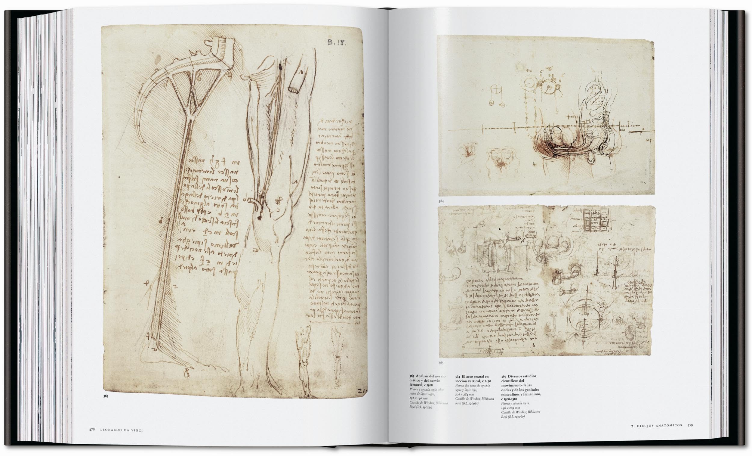 Leonardo: Obra pictórica completa y obra gráfica