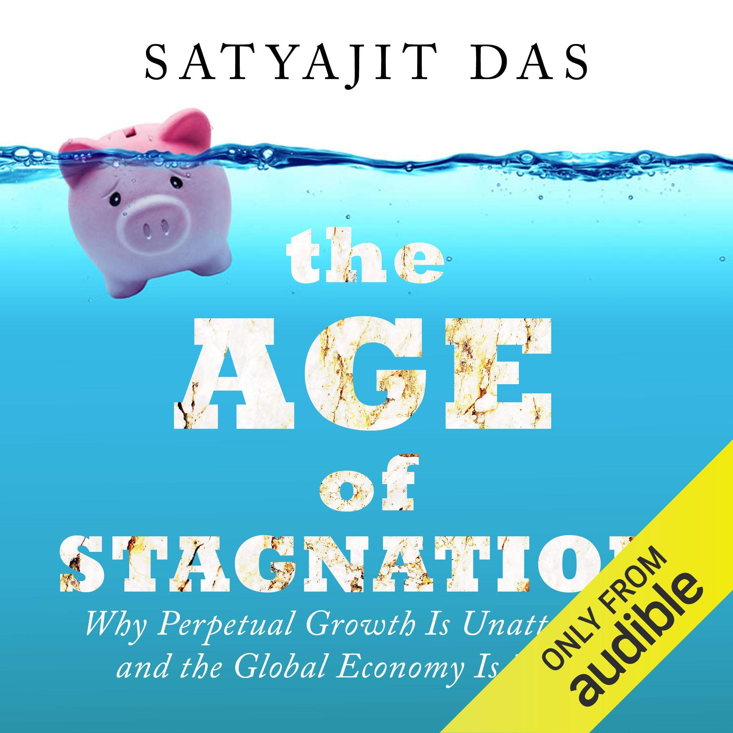 Cover art for The Age of Stagnation