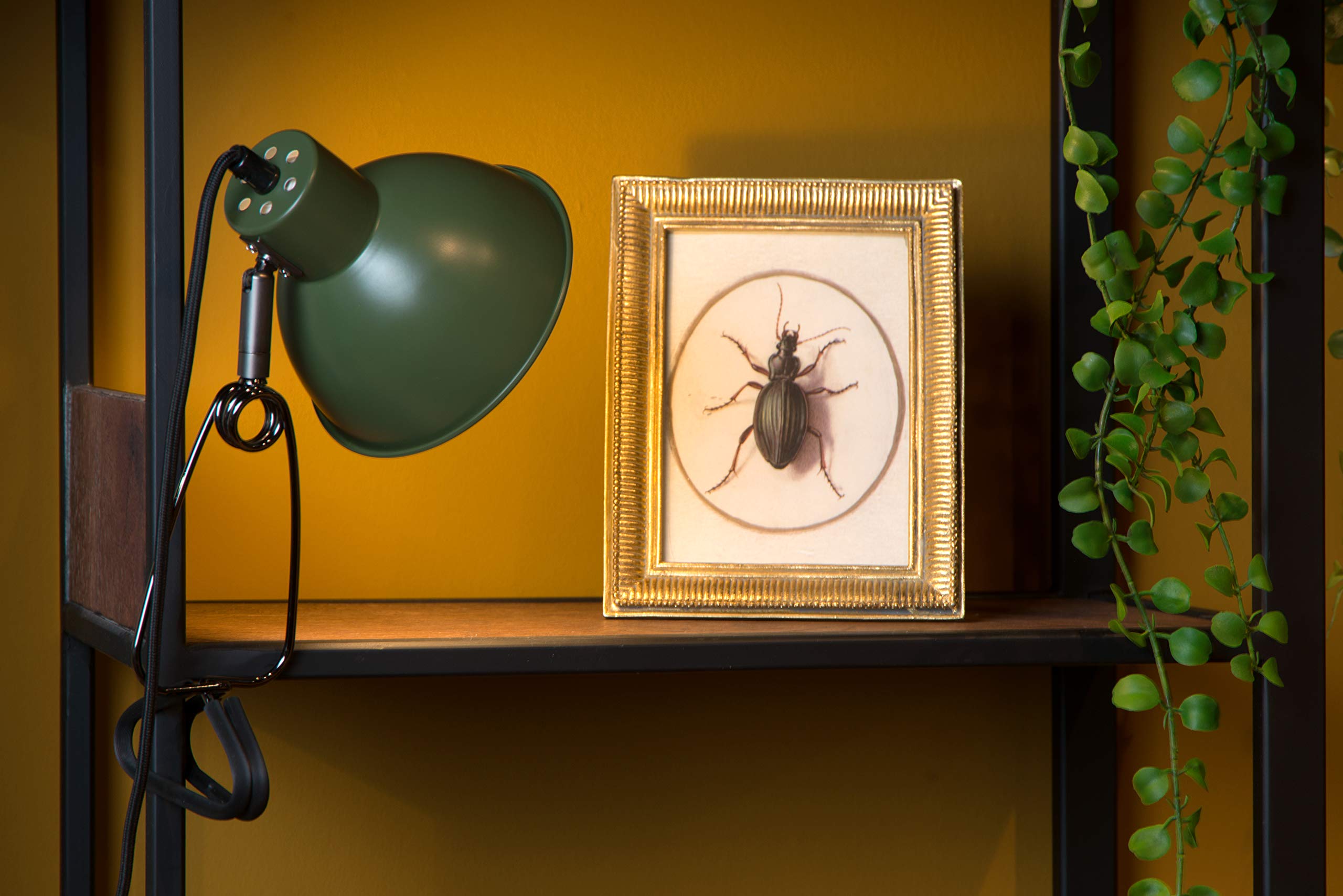 LUCIDE MOYS - Lampe à pince - 1xE27 - Vert
