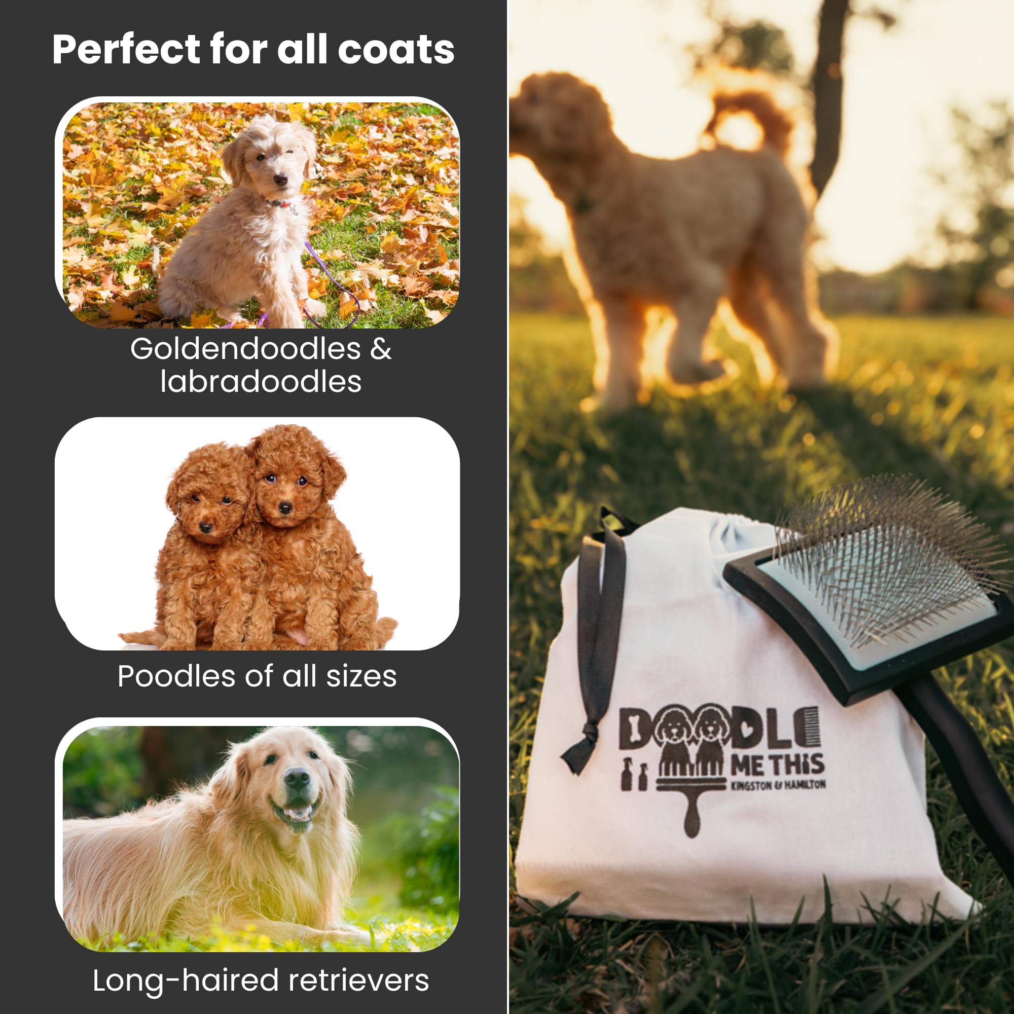 Doodle Me This Dog Slicker Brush para caniches, garabatos, un cepillo grande para perros, un cepillo para perros pequeños, cepillo de madera de pin largo, perfecto para desenredar y desenredar, aseo