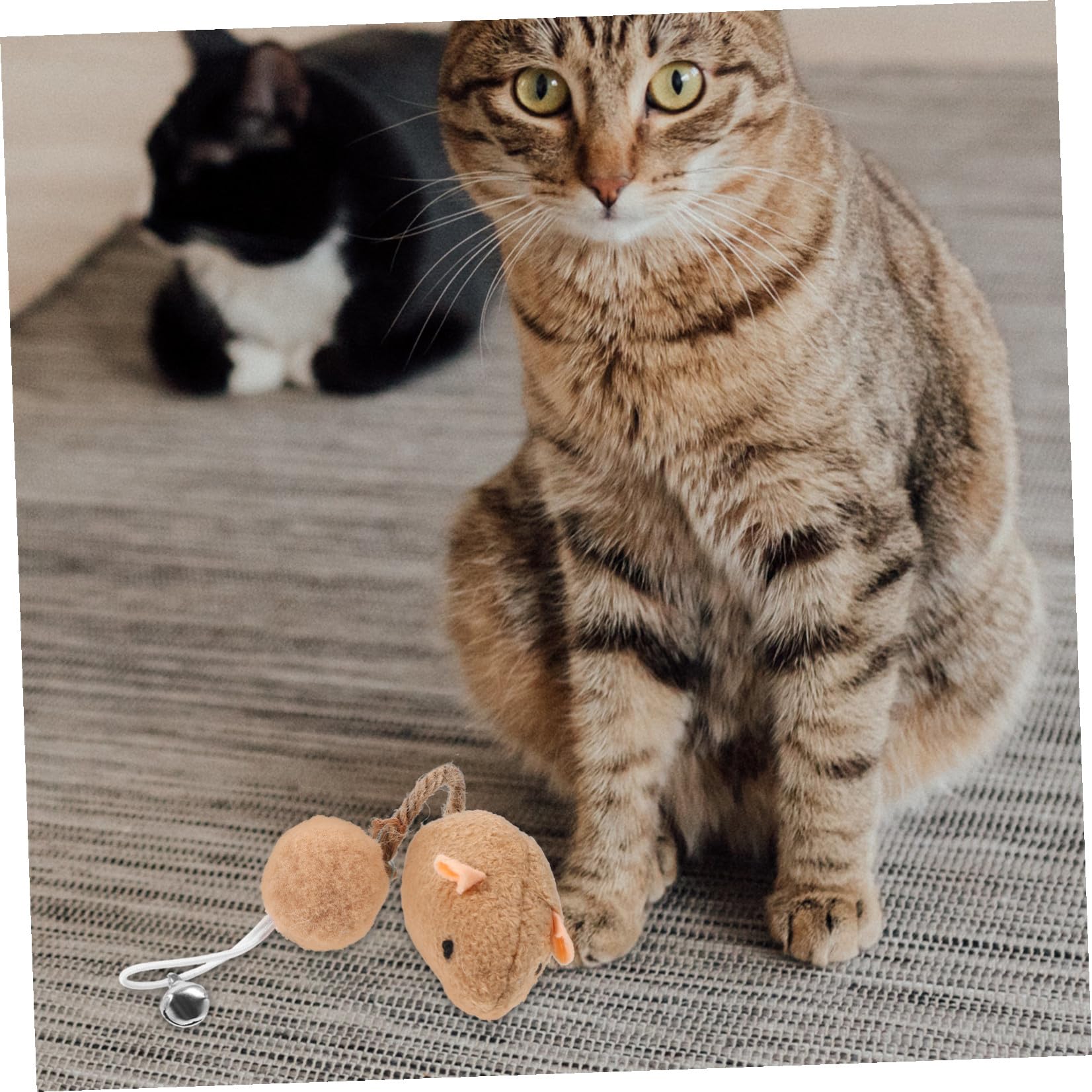 Toyvian Lot de 6 Jouets Souris en Peluche avec Clochette pour Chatons et Chats, Jouets Interactifs Vie Quotidienne, Couleurs Variées, Maintien de L'intérêt