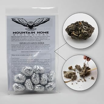 Barn Owl Pellets, Pack of 10 Extra Small Pellets and Bone Sorting Guide, Individually Foil Wrapped & Pre-Graded, Science Classroom Hands On Dissection Kit