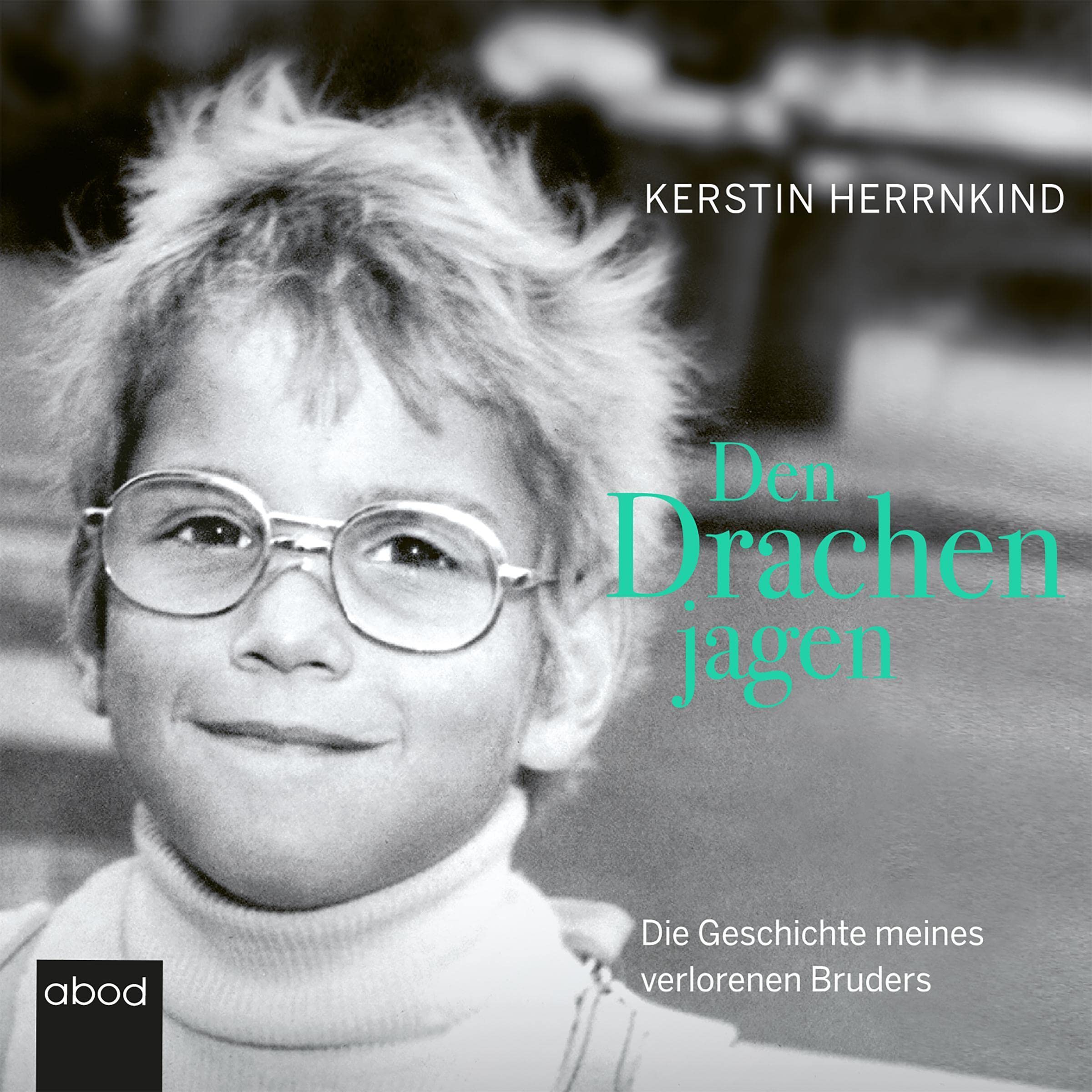 Cover art for Den Drachen jagen
