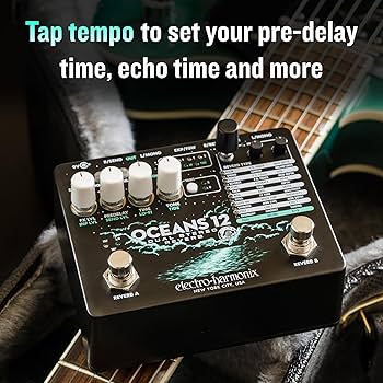 Amazon.com: Electro-Harmonix Oceans 12 Dual Stereo Reverb Pedal