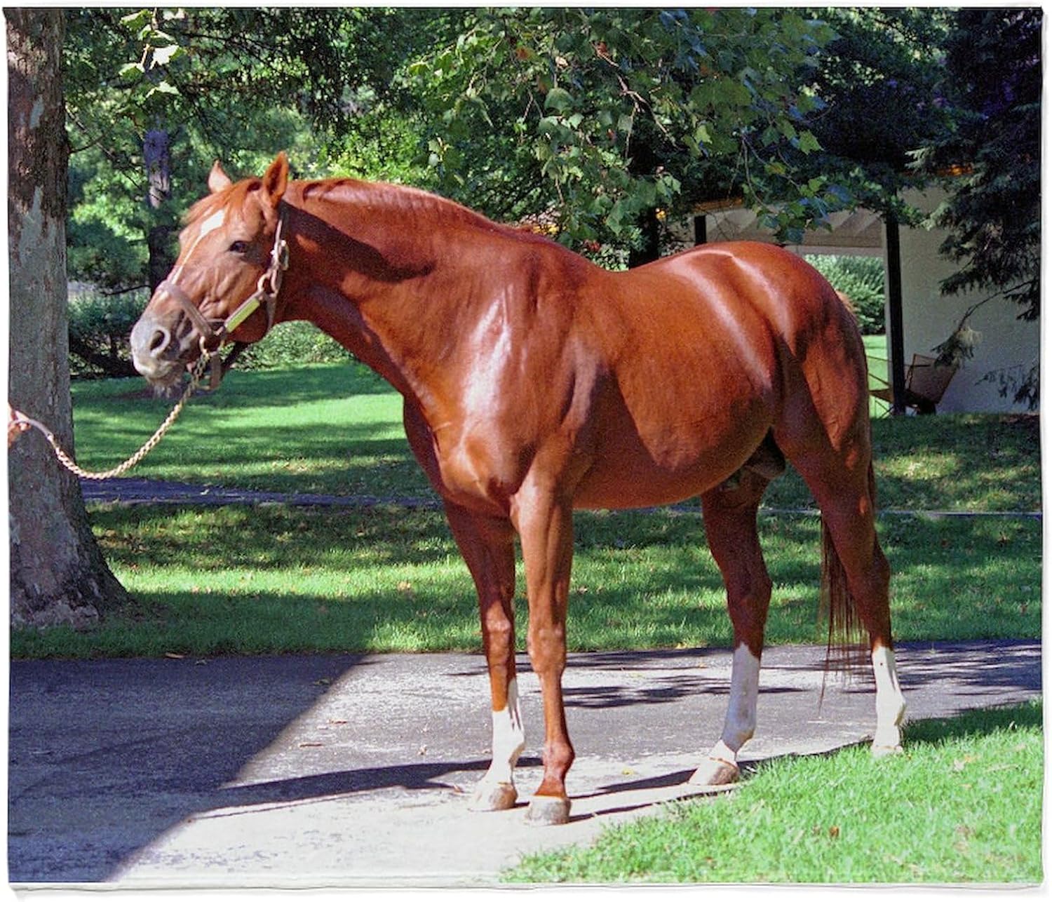 CafePress Secretariat Big Red Throw Blanket Super Soft Fleece Plush Throw Blanket, 60"x50"