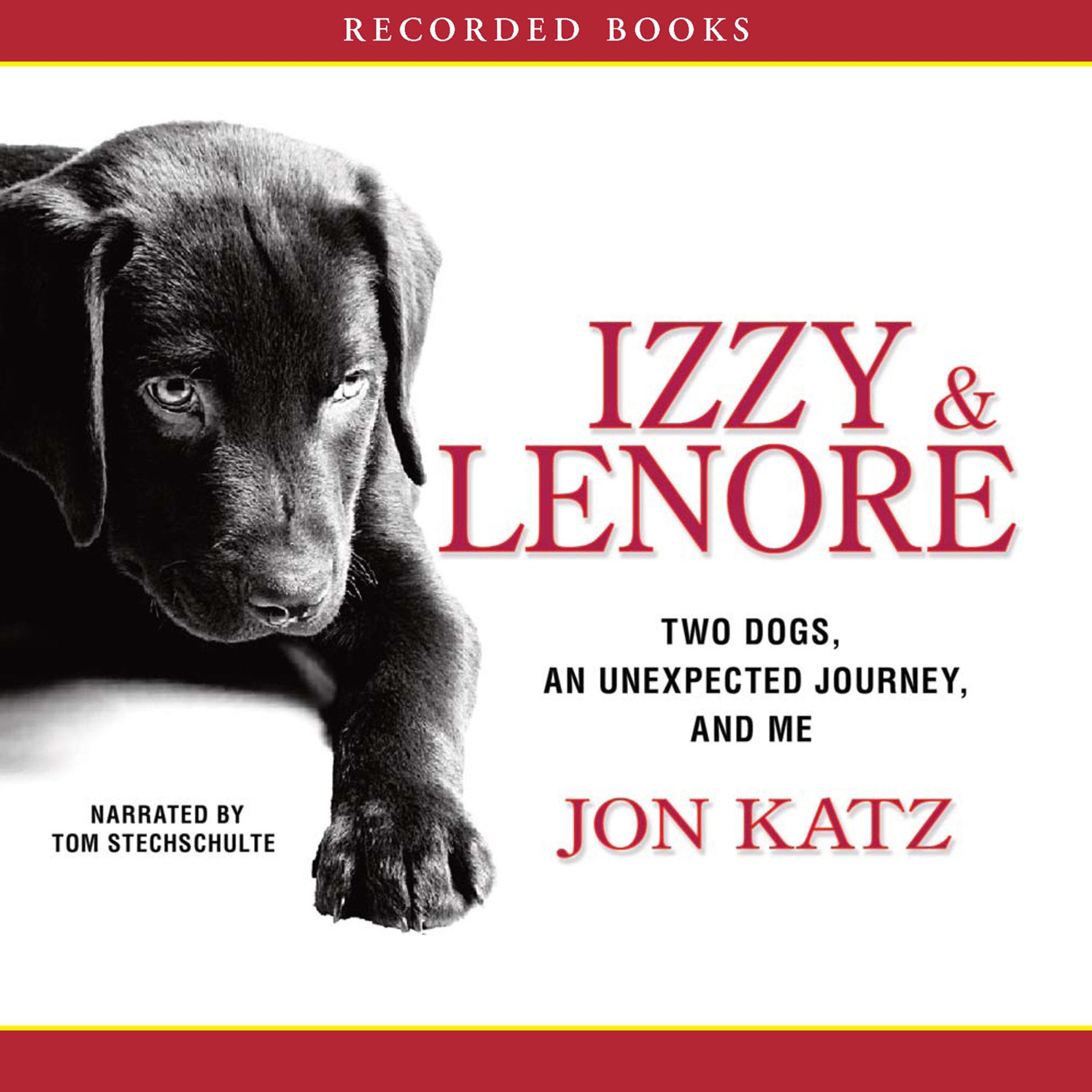 Cover art for Izzy and Lenore
