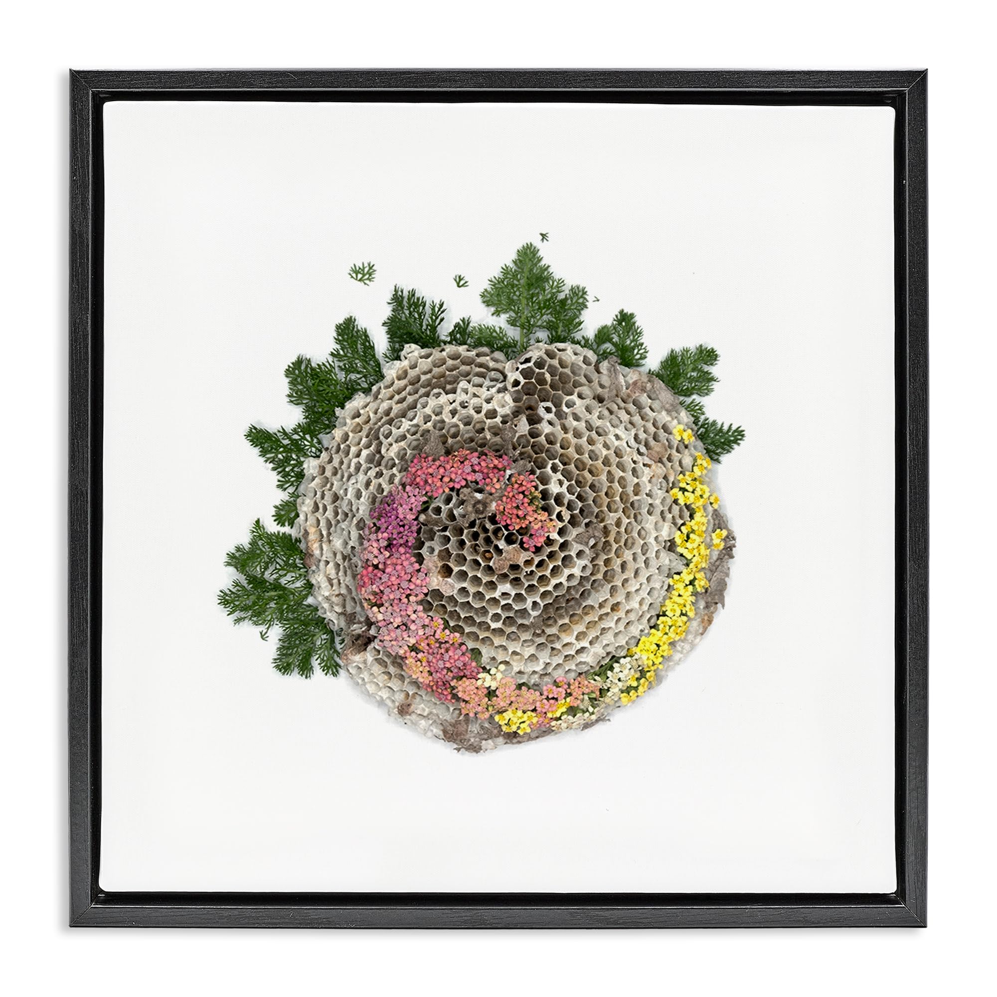 Stupell Industries Jet Black (Matte) 'Honeycomb With Botanicals'| Floating Frame Canvas Art