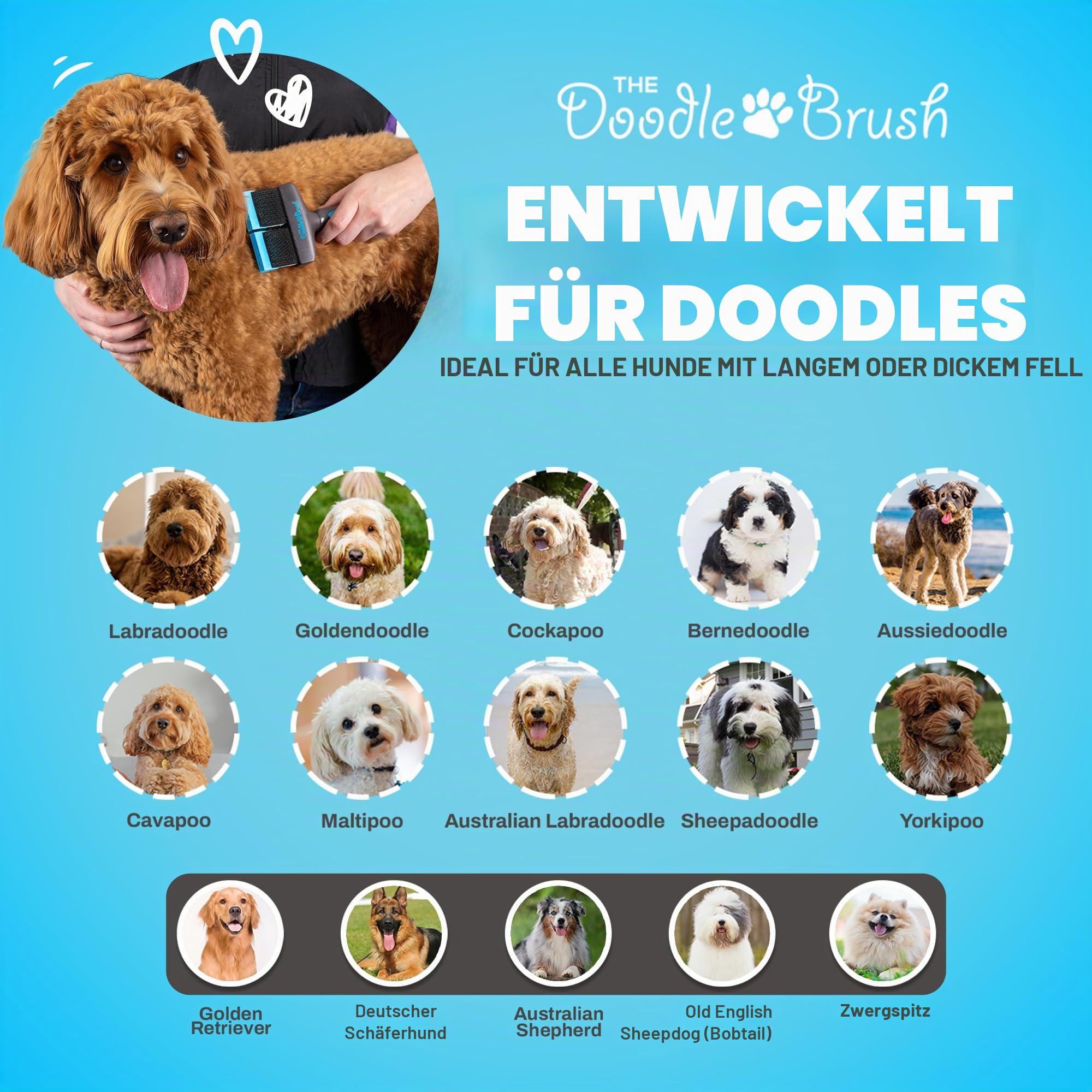 The Doodle Brush Slicker-Bürste für Hunde für Doodles & Pudel, Doppelkopf | Lange Pins, Flexibler Bürstenkopf, Sanftes Entfilzen, Lockiges Fell, Für Langhaarige Rassen, Tägliche Pflege, Goldendoodles