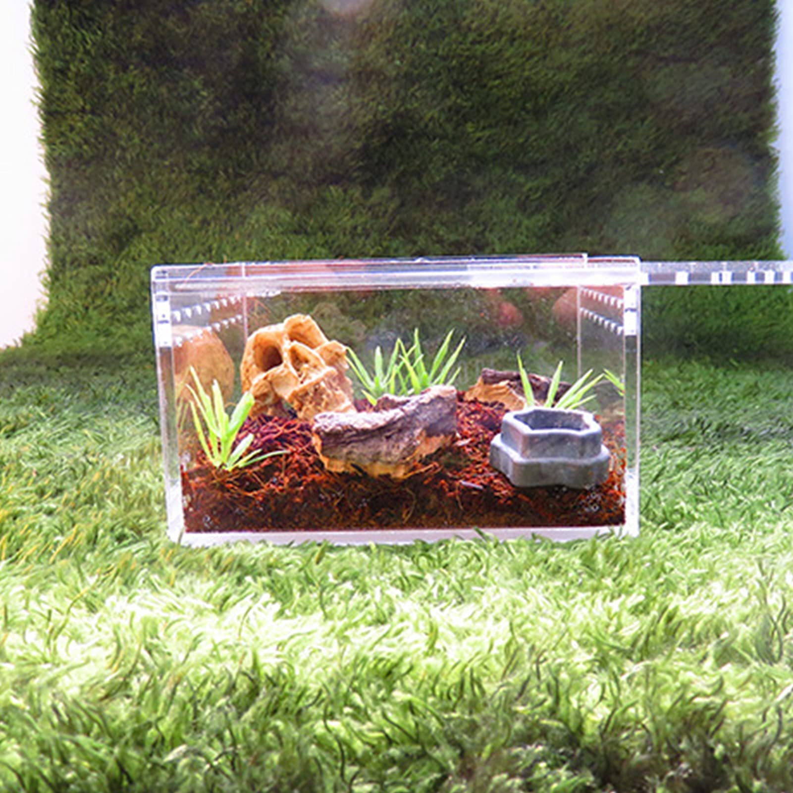 Terrarium En Acrylique Transparent 15x15x15 Cm - Pour Phasmes, Escargots, Petites Araignées, Reptiles Et Insectes - 11