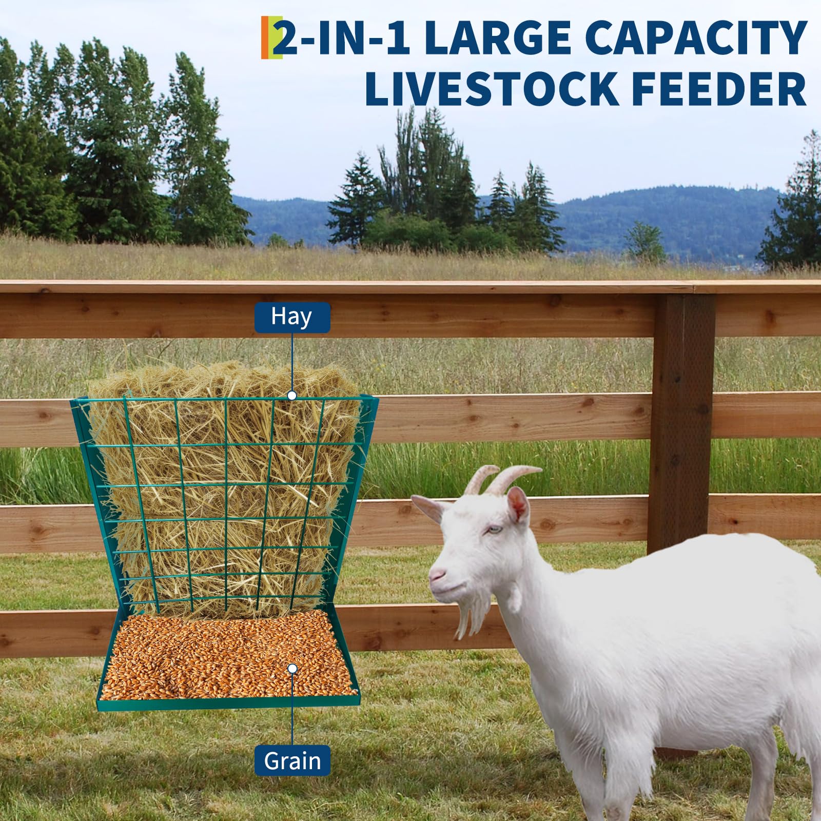 Garvee Henera de Pared 2 en 1 para Caballos y Ganado, Comedero de Heno y Grano de Acero al Carbono con Recubrimiento de Polvo, Alimentador de Forraje Resistente para Cabras y Ovejas, Verde Oscuro