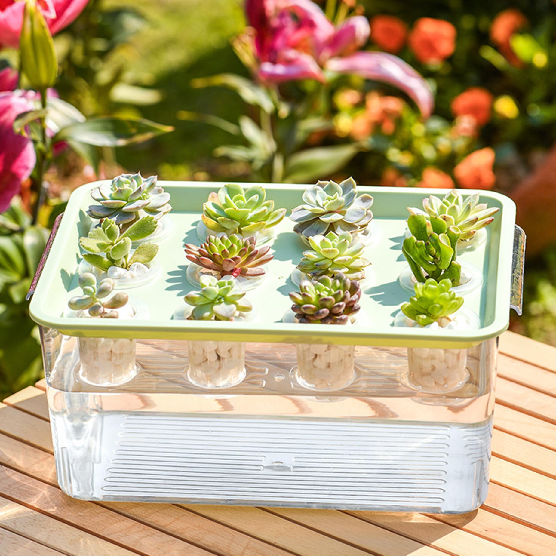Système de Culture aquaponique hydroponique avec bac de Culture Transparent à 12 Trous et Couvercle Vert idéal pour la Maison Le Balcon ou Un Bureau.