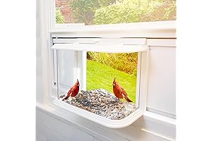 Window Bird Feeder Inside House for Viewing