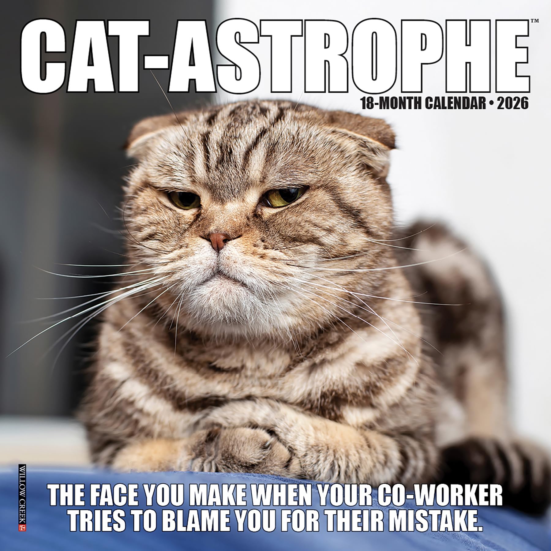 Cat-Astrophe 2026 Mini Wall Calendar