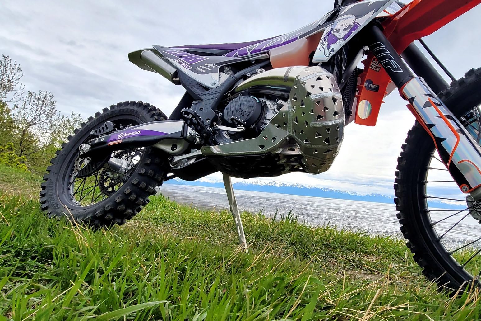 MOTOES Bash Plate With Pipe Guard Compatible with KTM-HUSKY-GASGAS